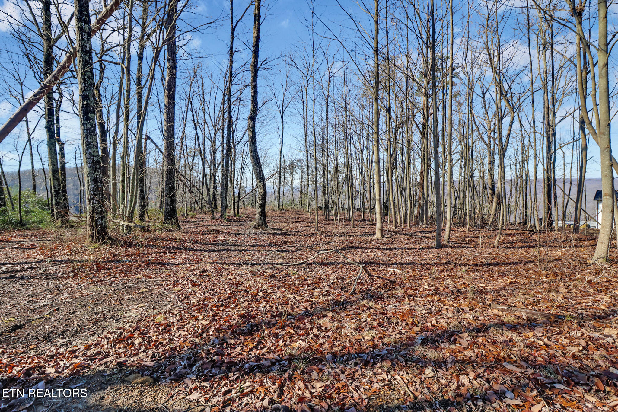 1309 Wind Rush Way Monterey TN 38574
