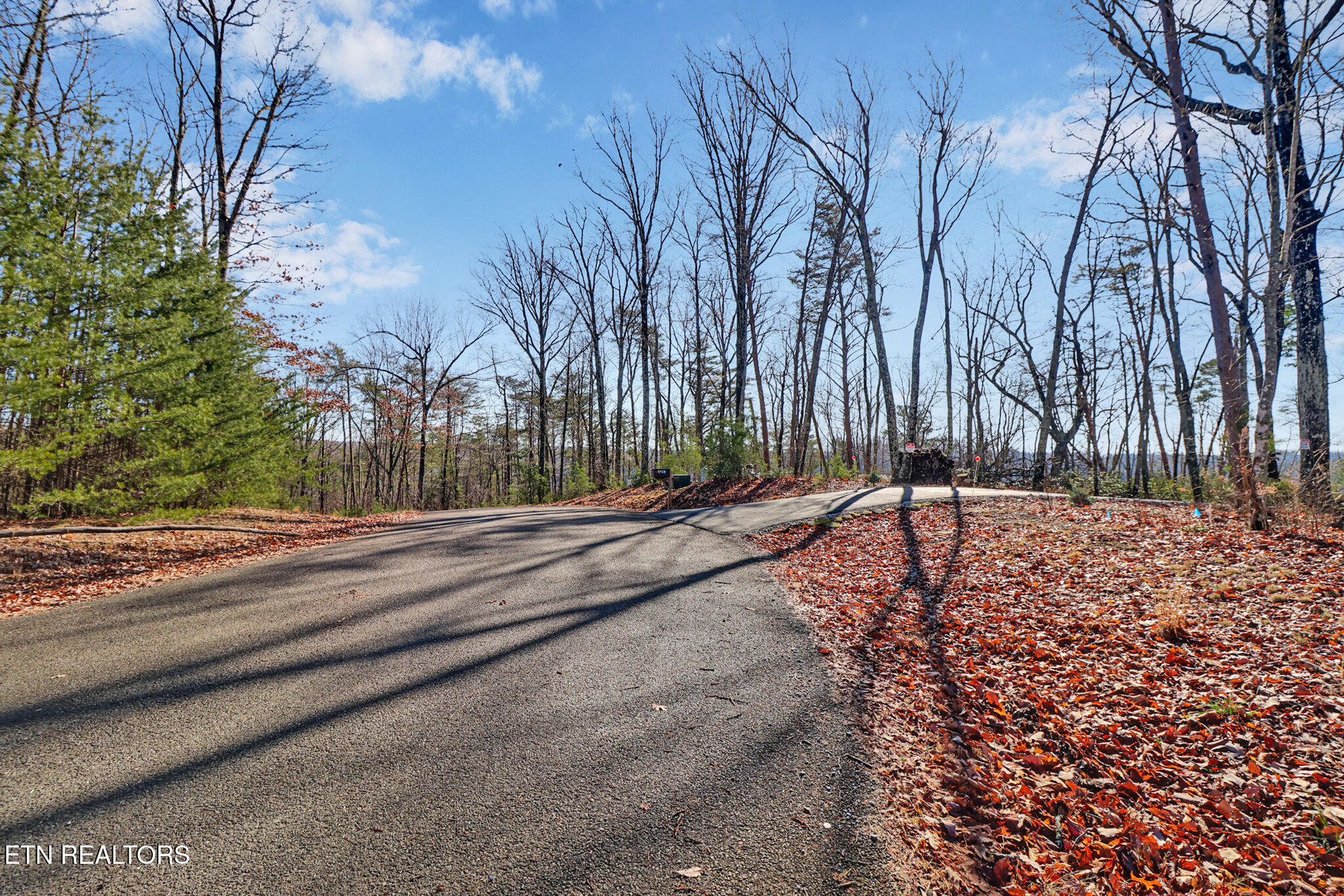 1309 Wind Rush Way Monterey TN 38574