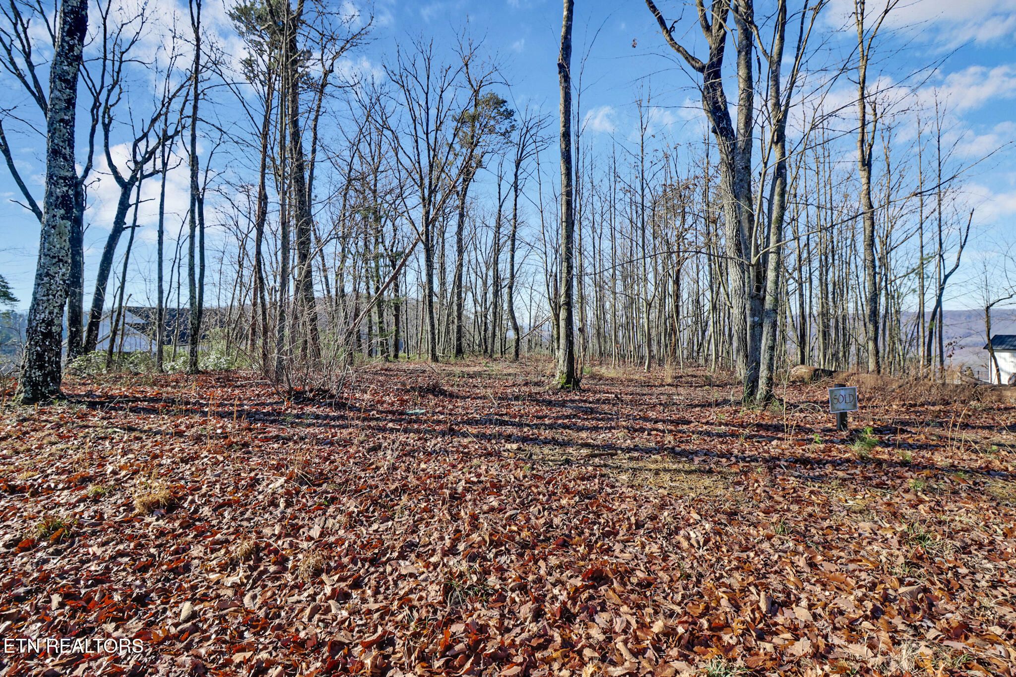 1309 Wind Rush Way Monterey TN 38574