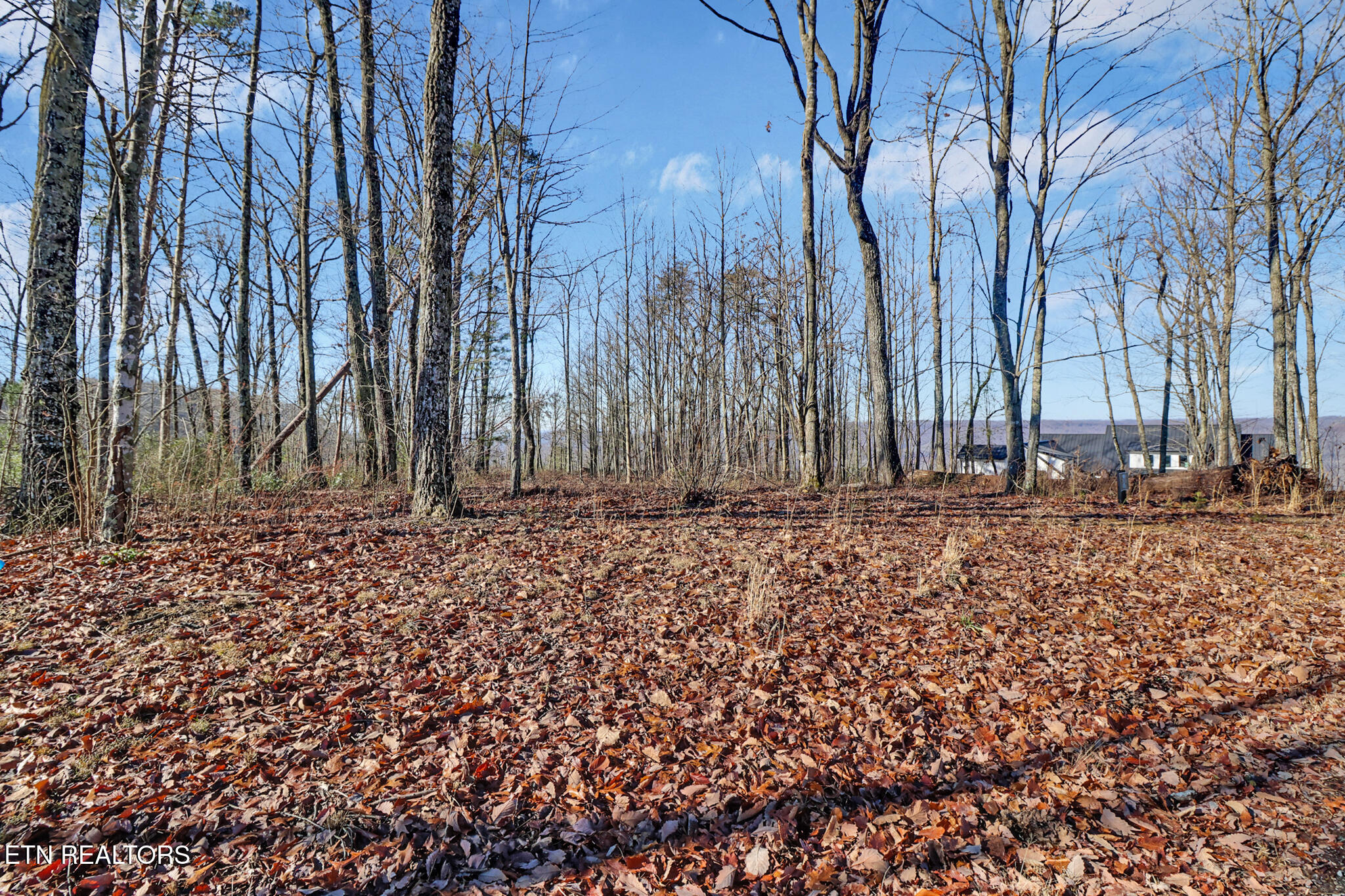 1309 Wind Rush Way Monterey TN 38574