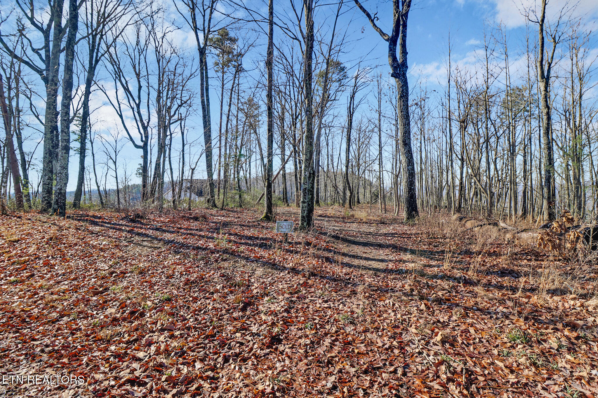 1309 Wind Rush Way Monterey TN 38574
