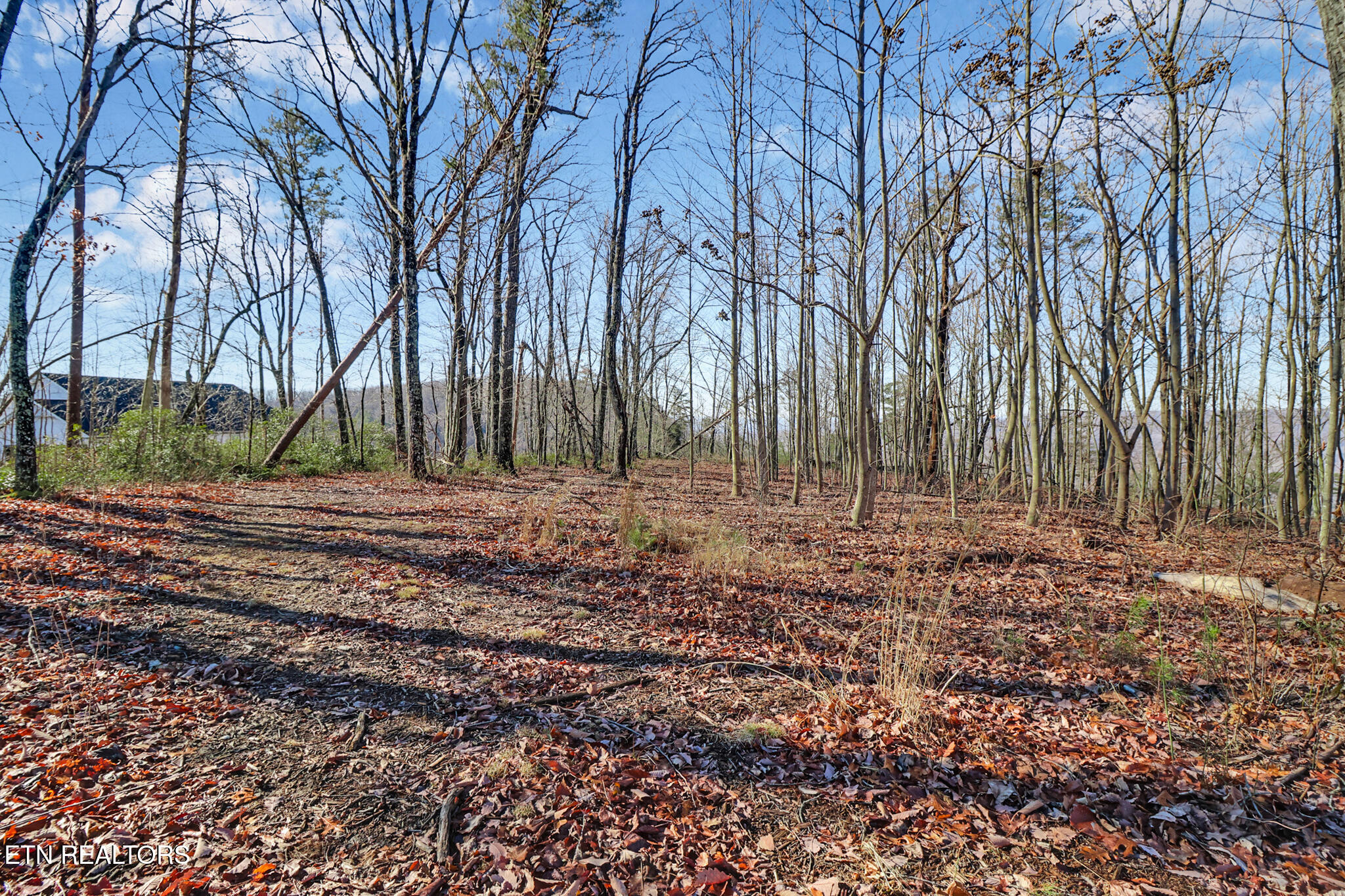 1309 Wind Rush Way Monterey TN 38574