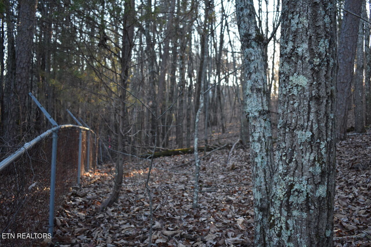 1 Eldridge Lane Cleveland TN 37311