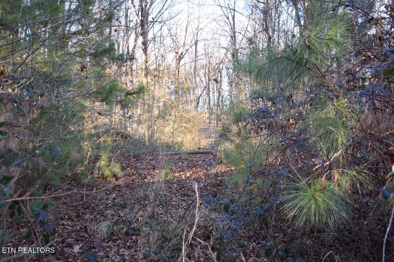 1 Eldridge Lane Cleveland TN 37311