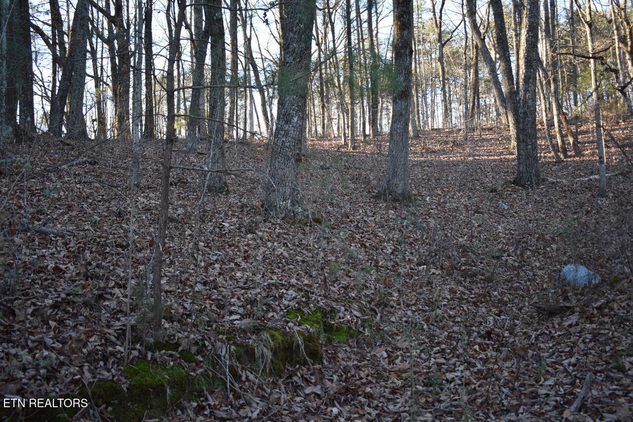 1 Eldridge Lane Cleveland TN 37311