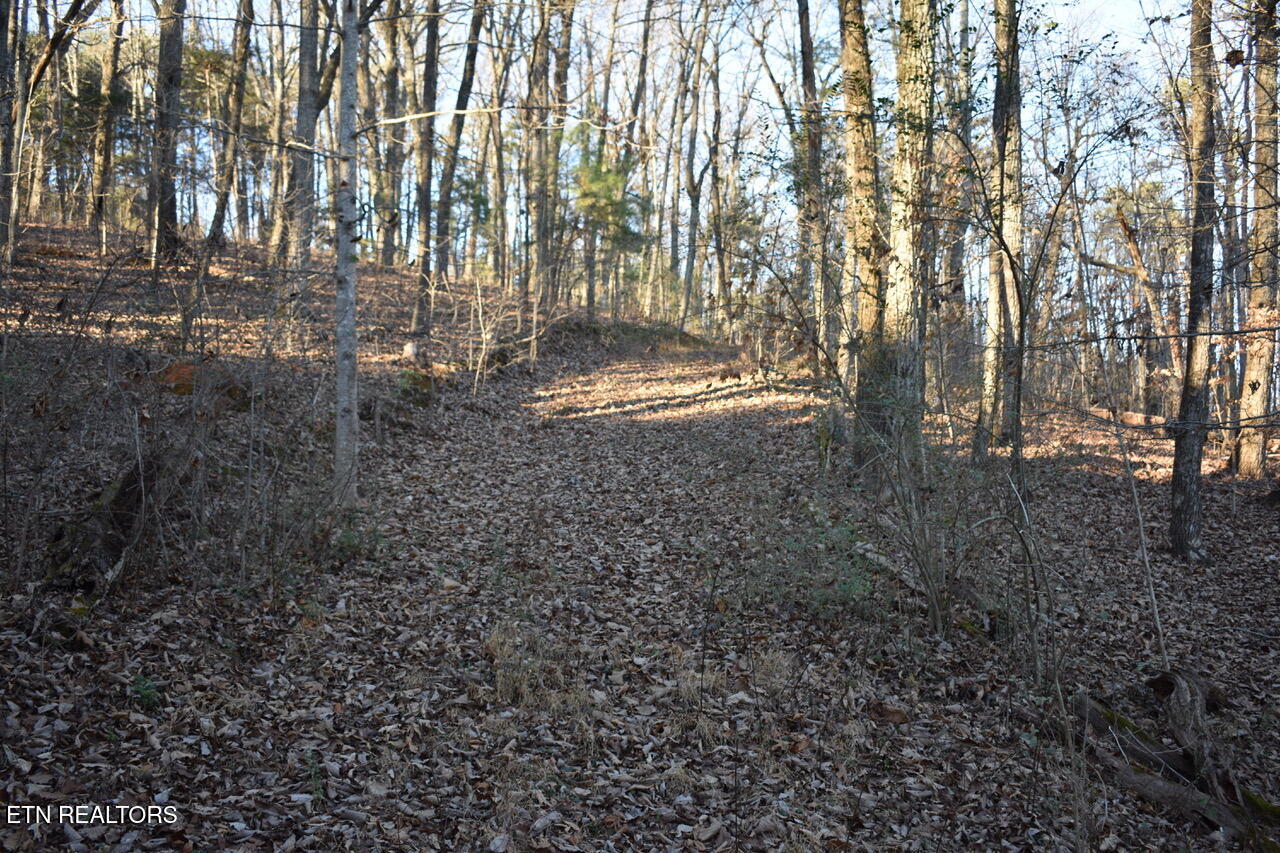 1 Eldridge Lane Cleveland TN 37311