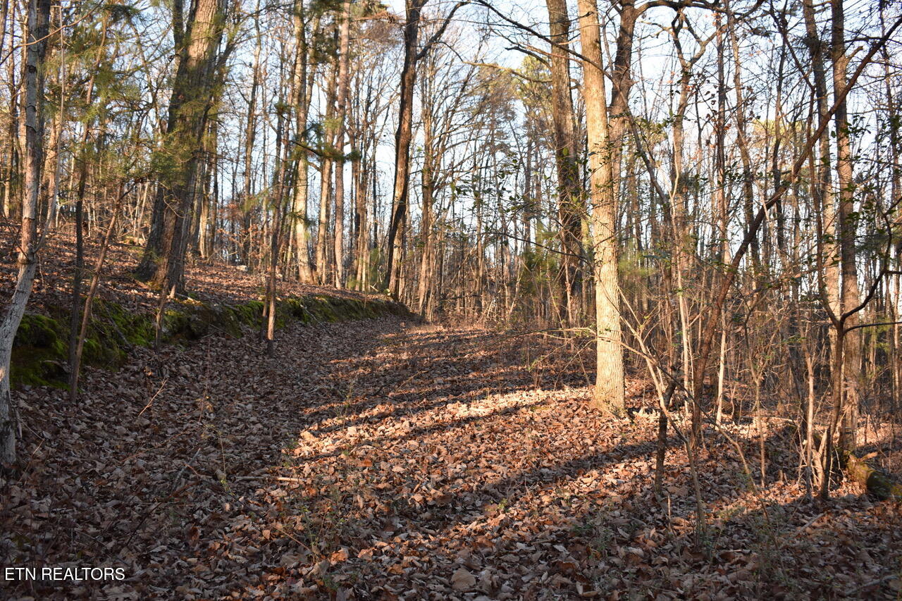 1 Eldridge Lane Cleveland TN 37311