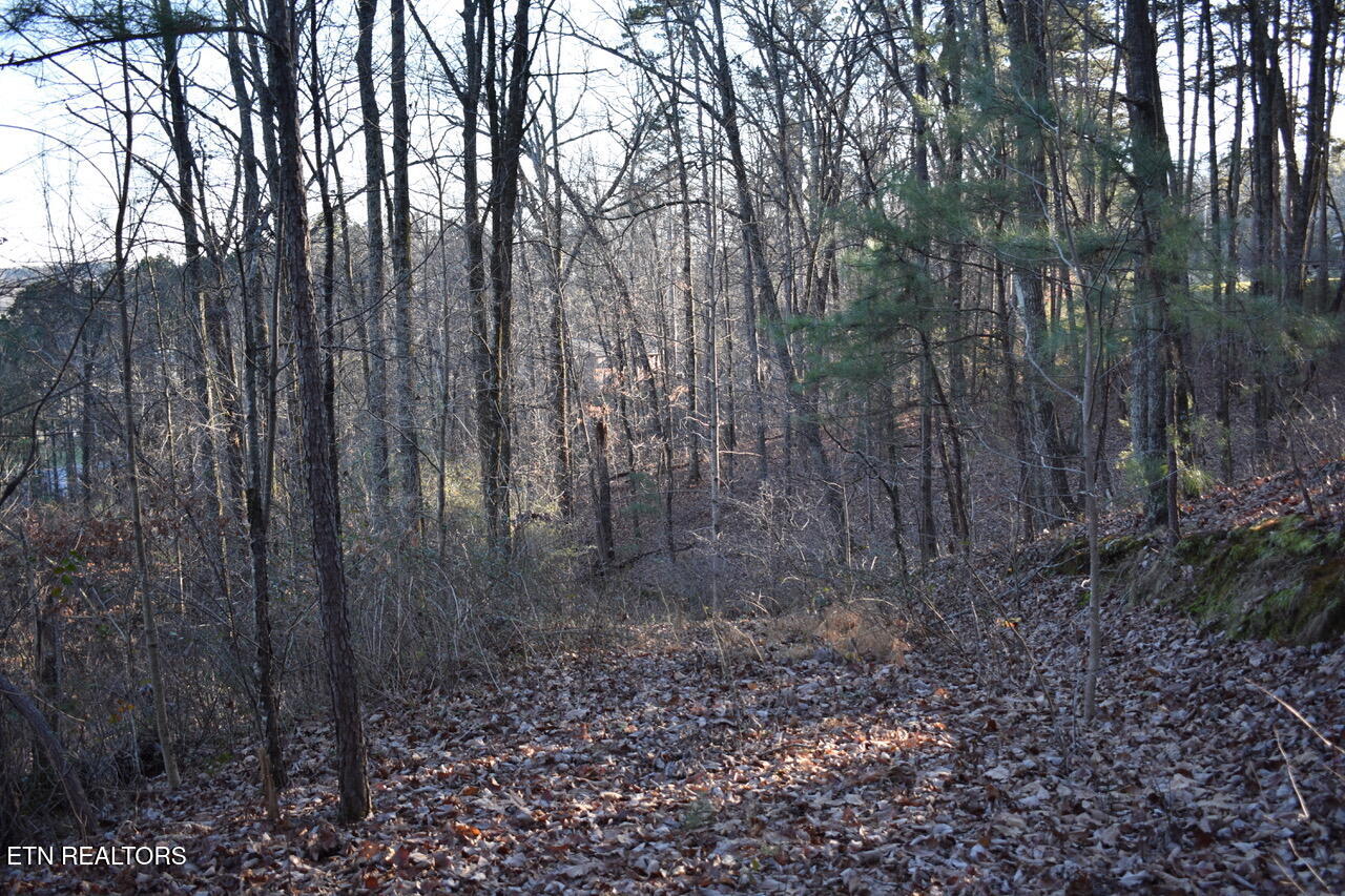 1 Eldridge Lane Cleveland TN 37311