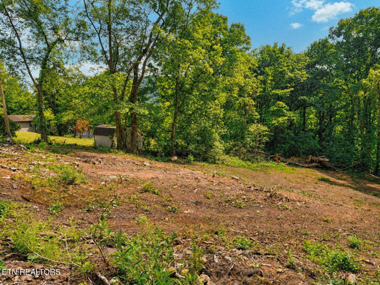 147 Stephens Road Rocky Top TN 37769