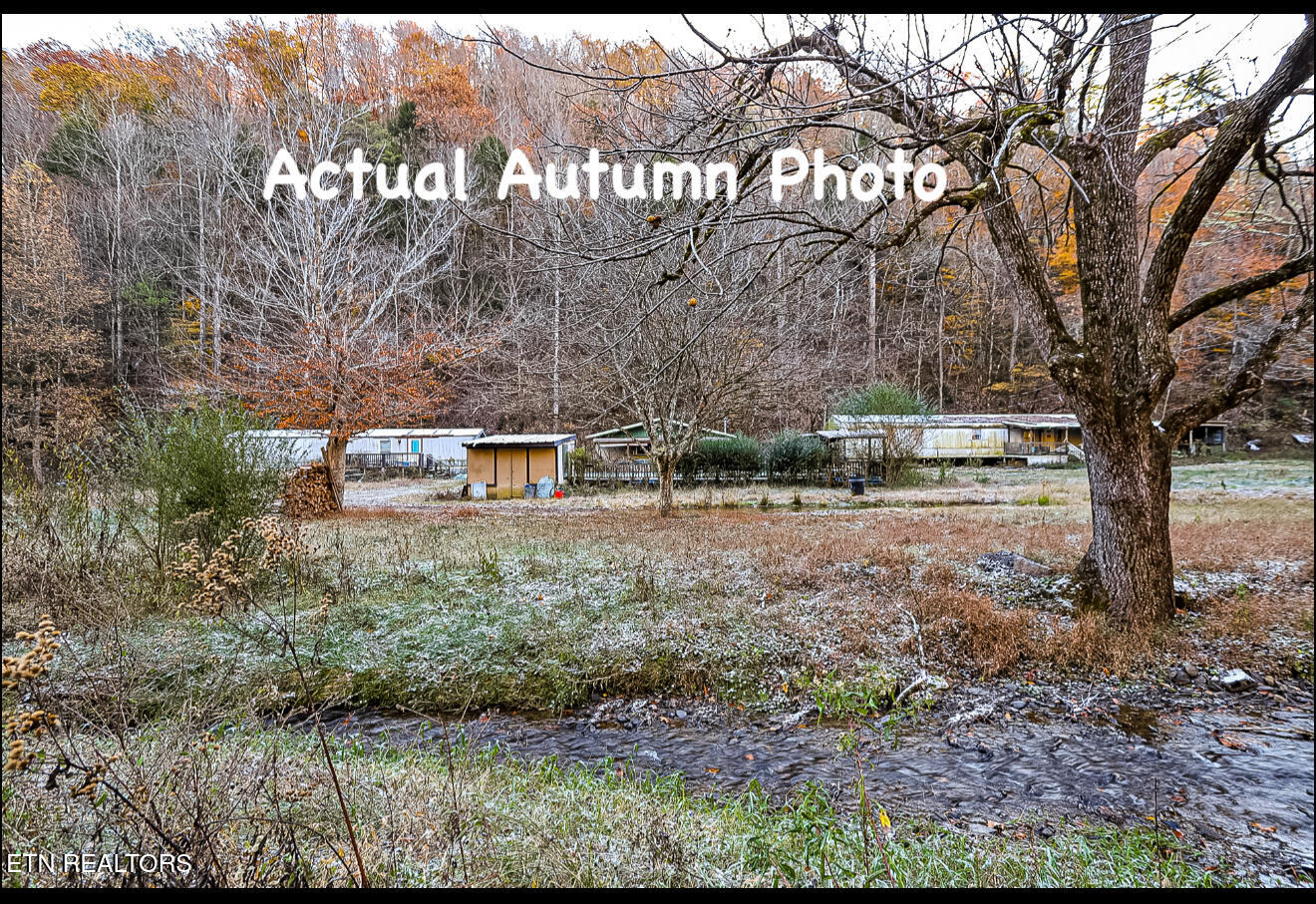 553 Caney Creek Road Pigeon Forge TN 37863