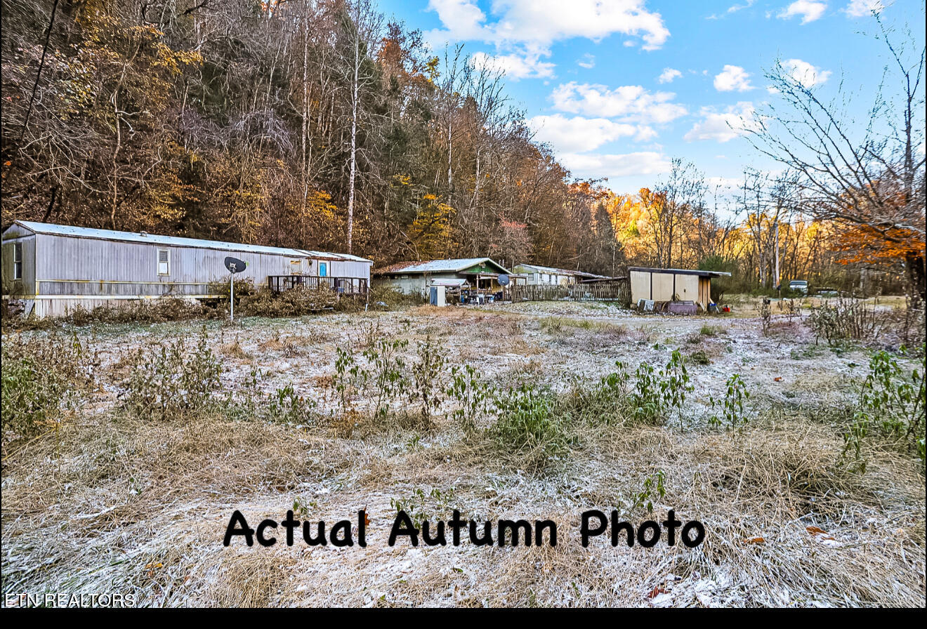 553 Caney Creek Road Pigeon Forge TN 37863