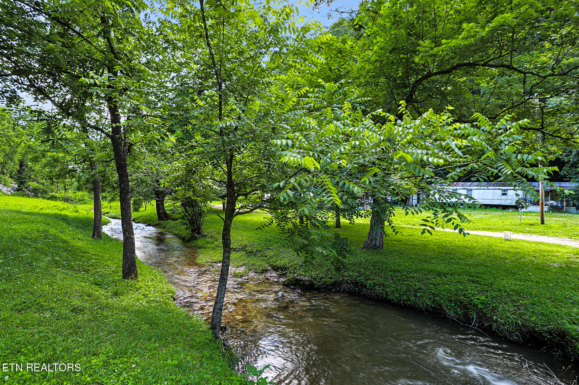 553 Caney Creek Road Pigeon Forge TN 37863