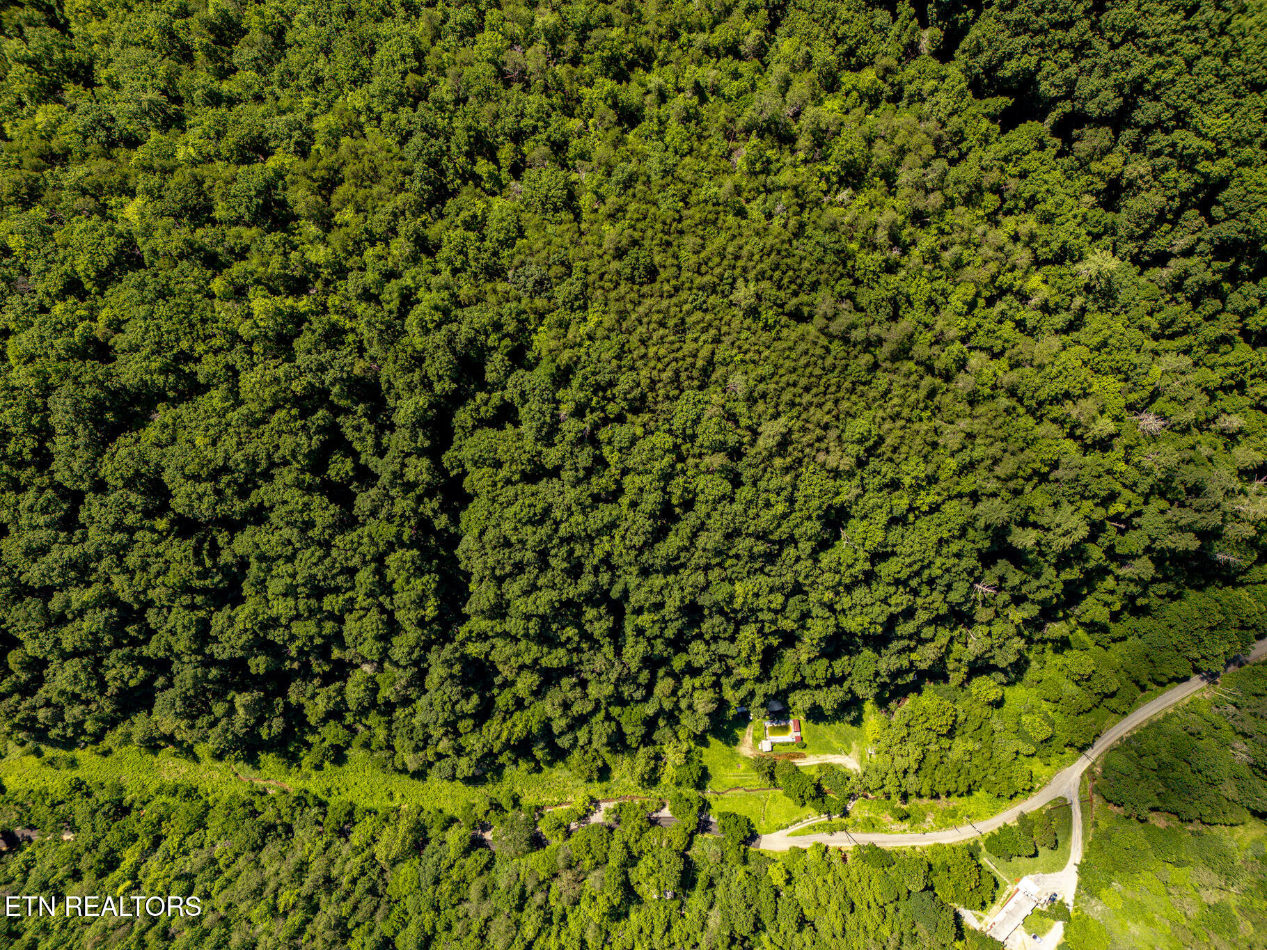 553 Caney Creek Road Pigeon Forge TN 37863