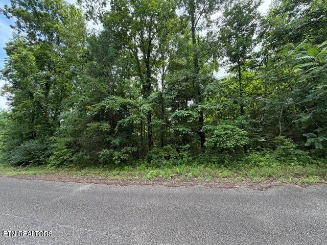 Saddleridge Dr. Drive Speedwell TN 37870