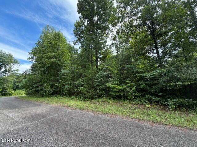 Saddleridge Dr. Drive Speedwell TN 37870