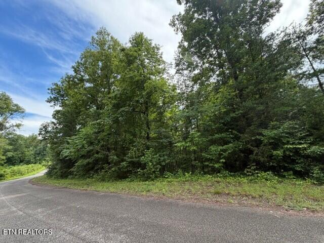 Saddleridge Dr. Drive Speedwell TN 37870
