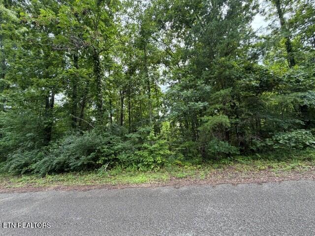 Saddleridge Dr. Drive Speedwell TN 37870