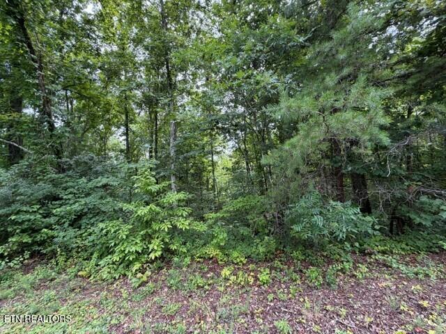 Saddleridge Dr. Drive Speedwell TN 37870