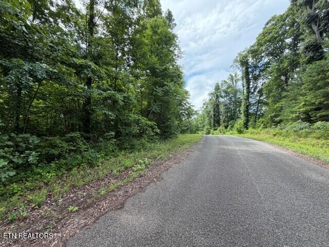 Saddleridge Dr. Drive Speedwell TN 37870