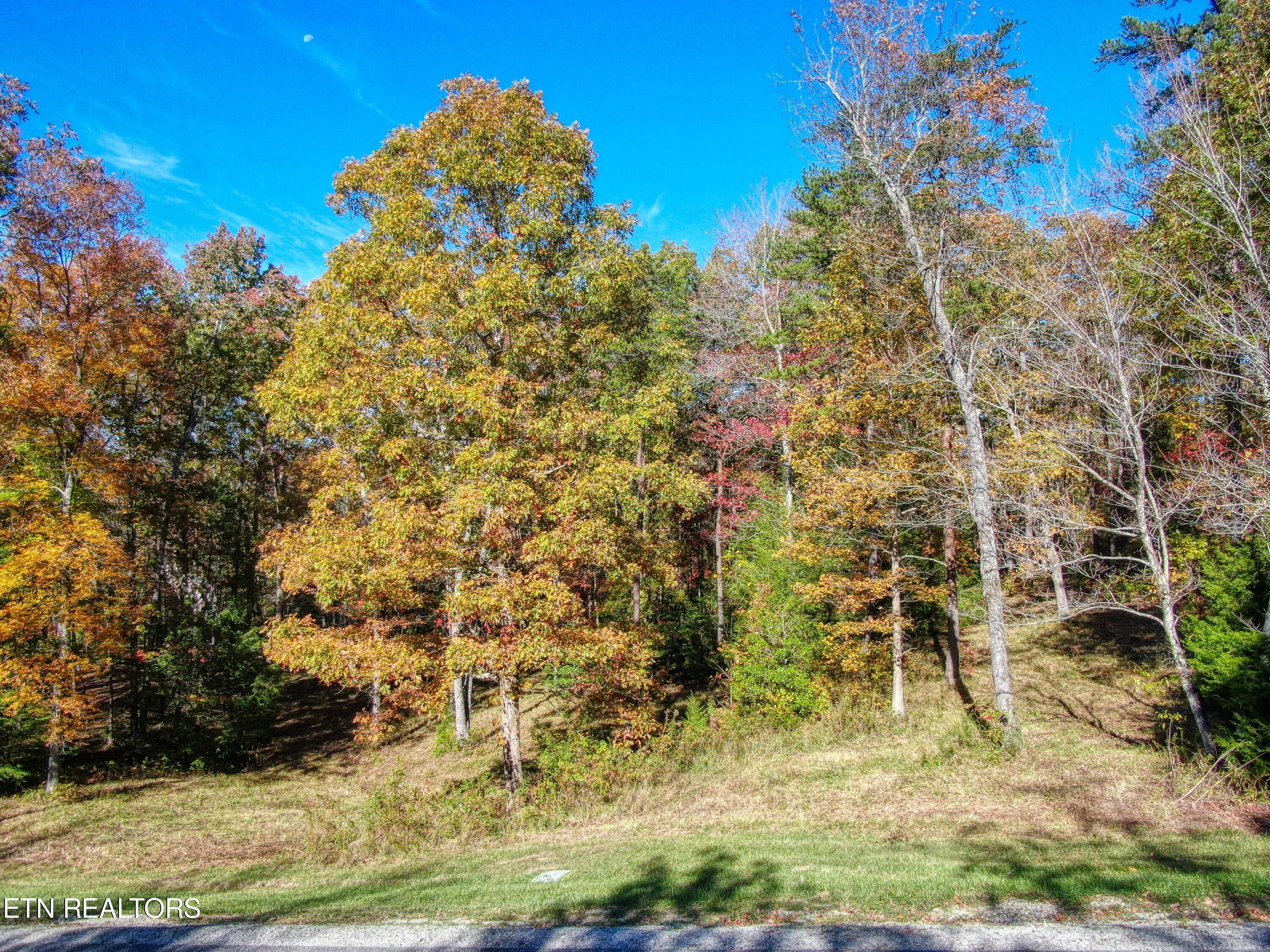 Lot 40 Grandview Way Jamestown TN 38556