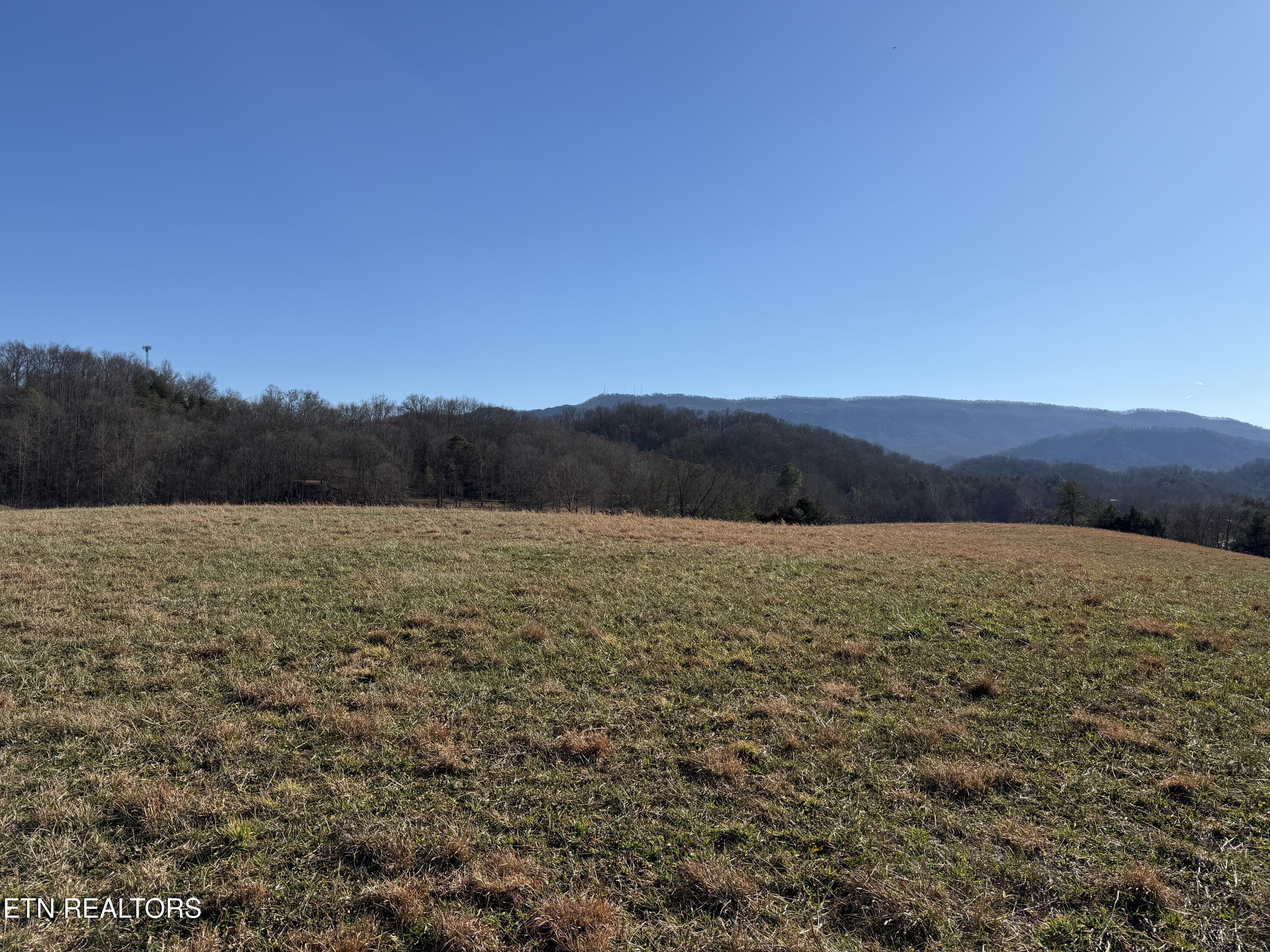 1210 Dupont Road Seymour TN 37865