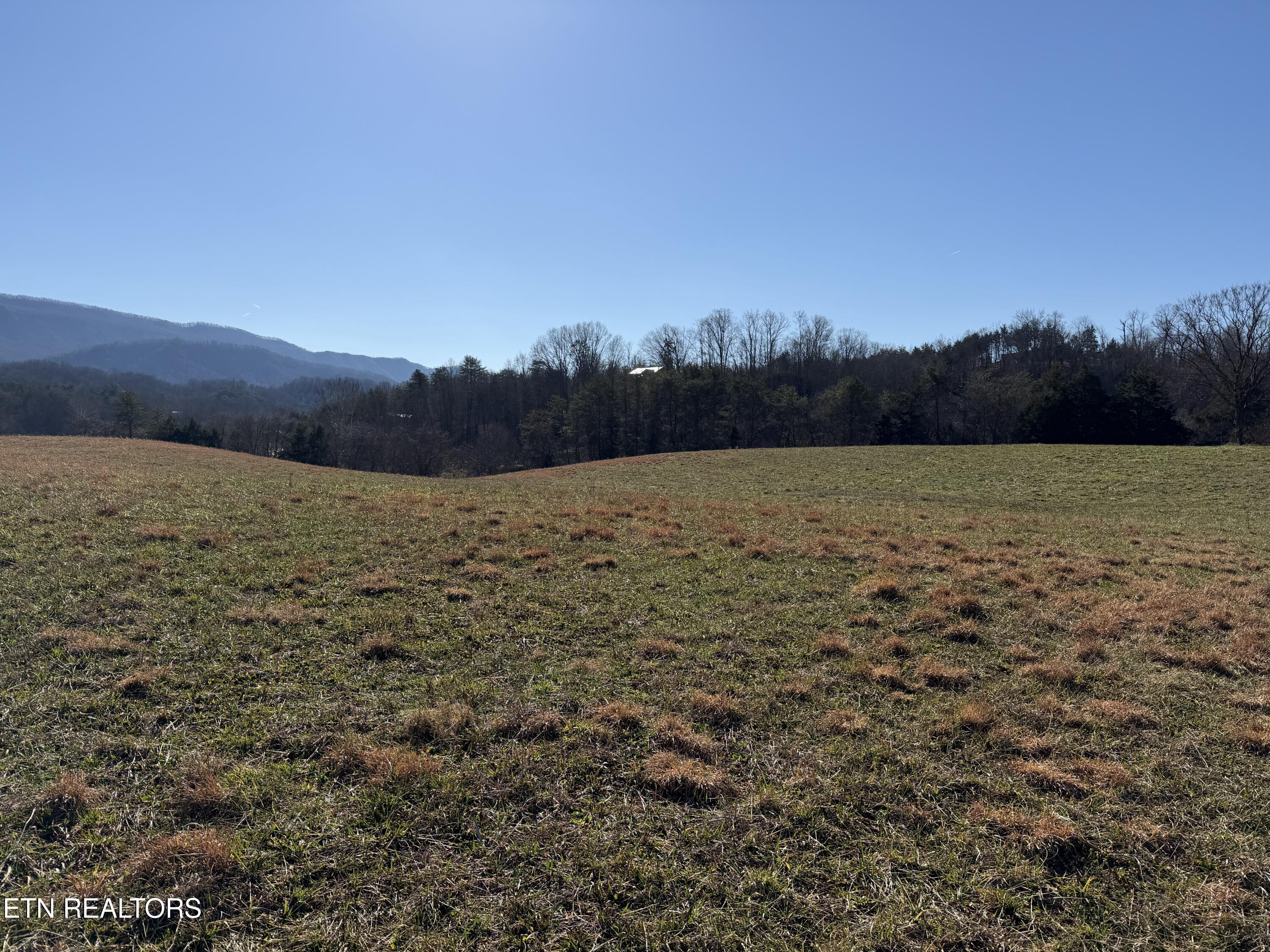 1210 Dupont Road Seymour TN 37865