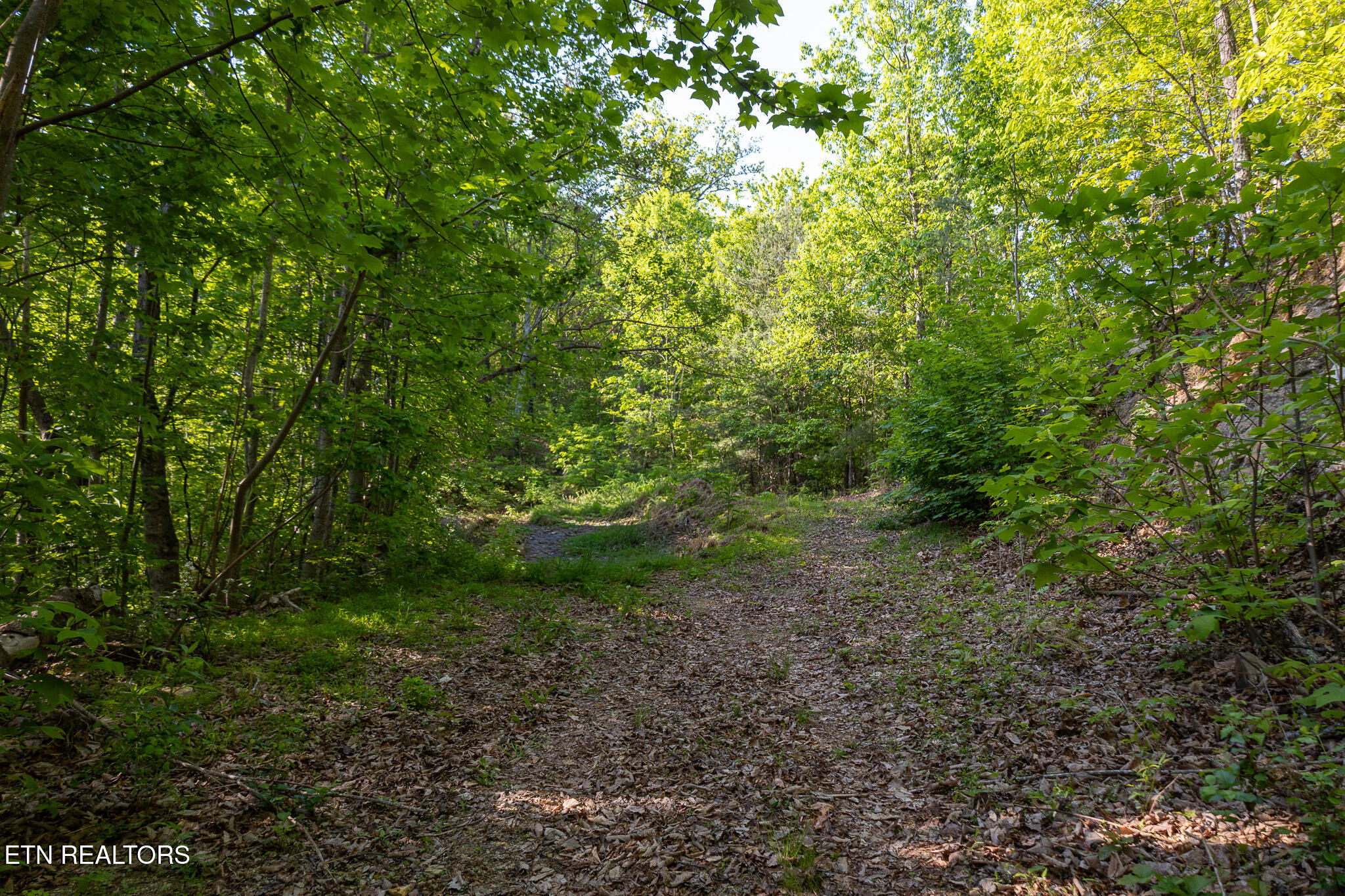 1017/1035 Big Buck Trail Townsend TN 37882