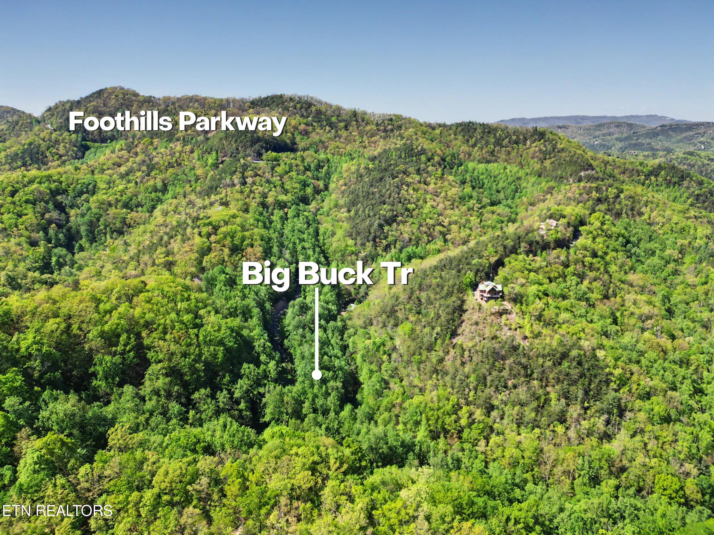 1017/1035 Big Buck Trail Townsend TN 37882