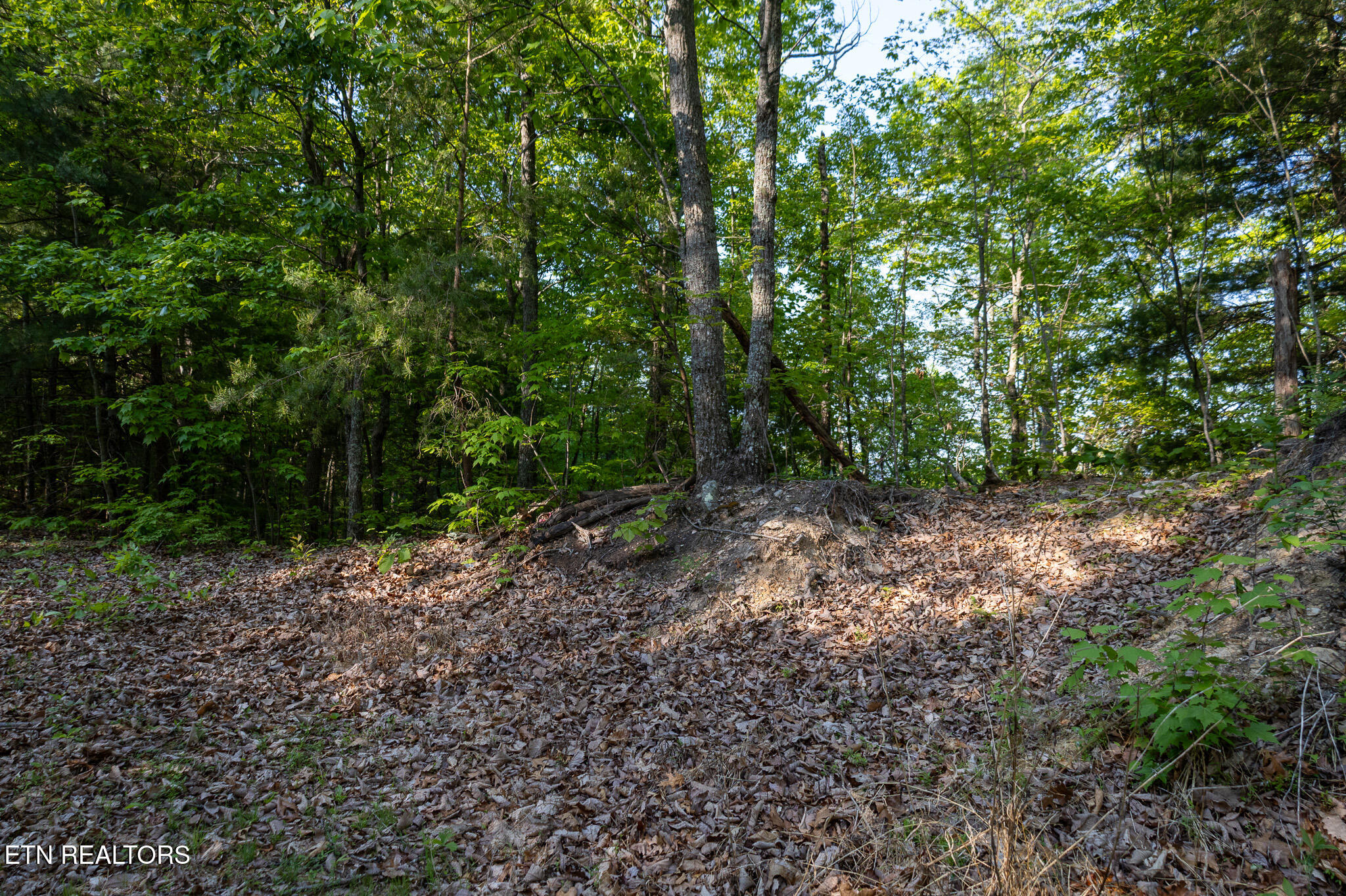 1017/1035 Big Buck Trail Townsend TN 37882