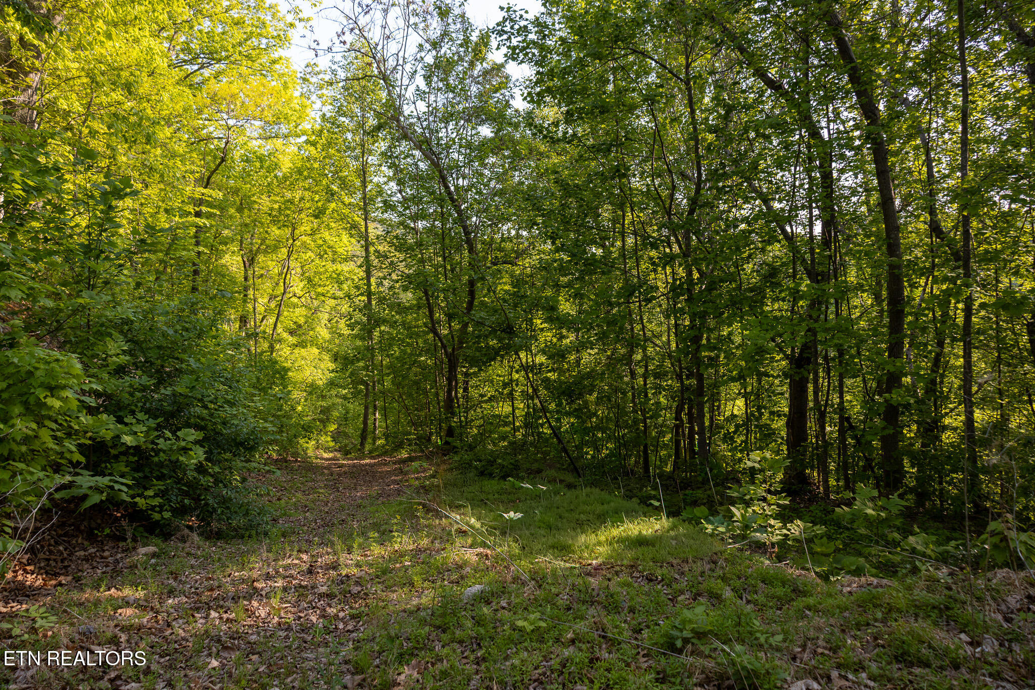 1017/1035 Big Buck Trail Townsend TN 37882