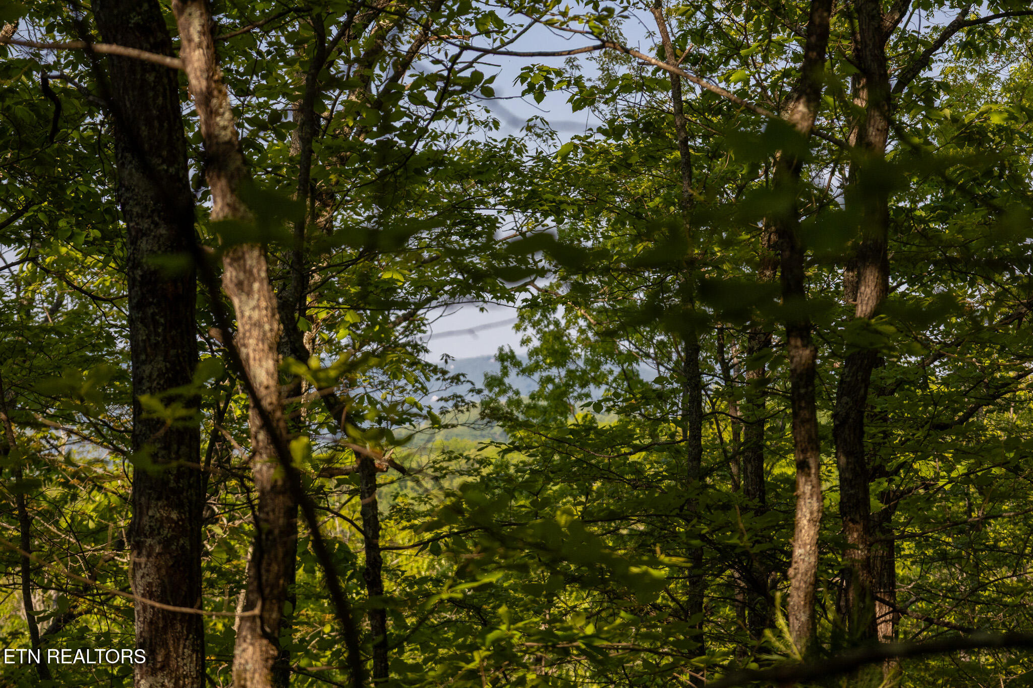 1017/1035 Big Buck Trail Townsend TN 37882