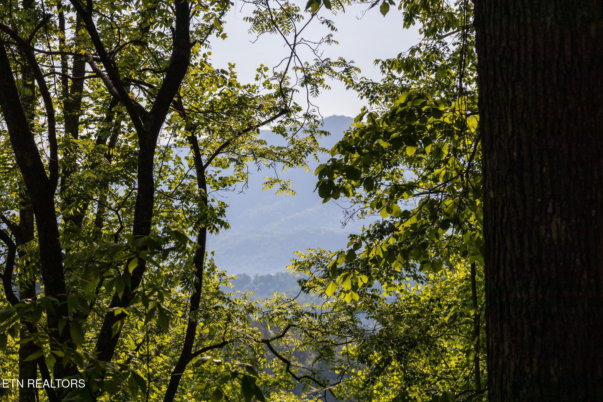 1017/1035 Big Buck Trail Townsend TN 37882