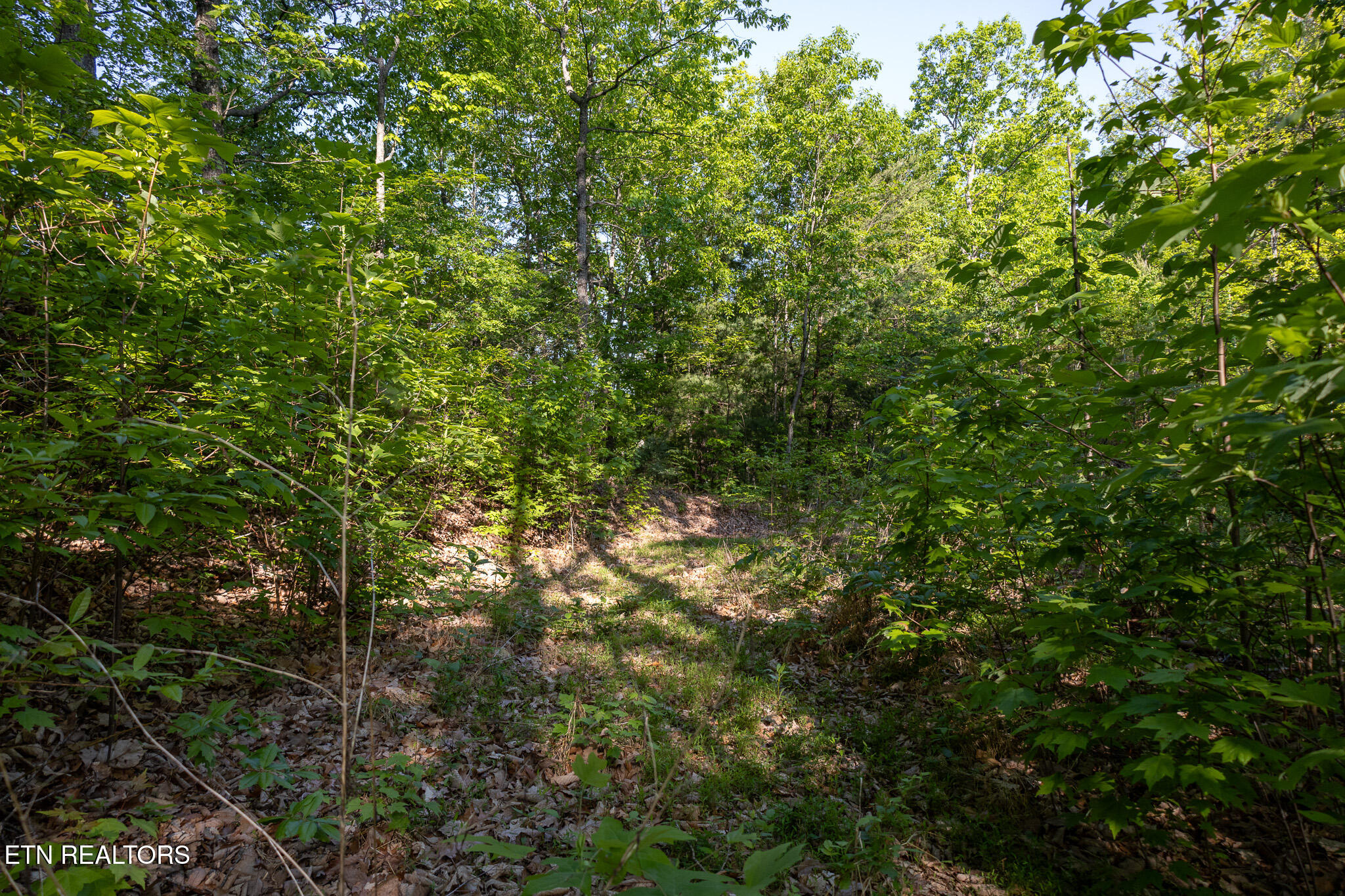 1017/1035 Big Buck Trail Townsend TN 37882
