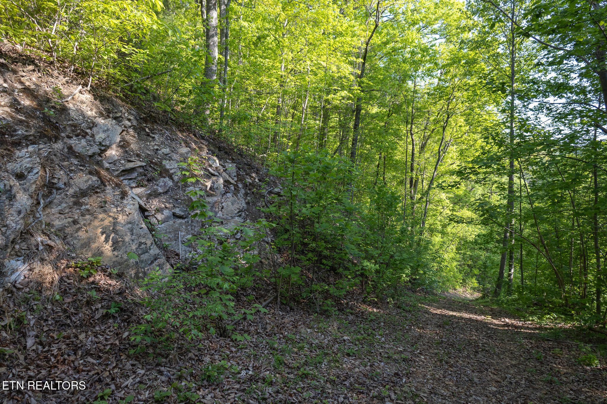 1017/1035 Big Buck Trail Townsend TN 37882