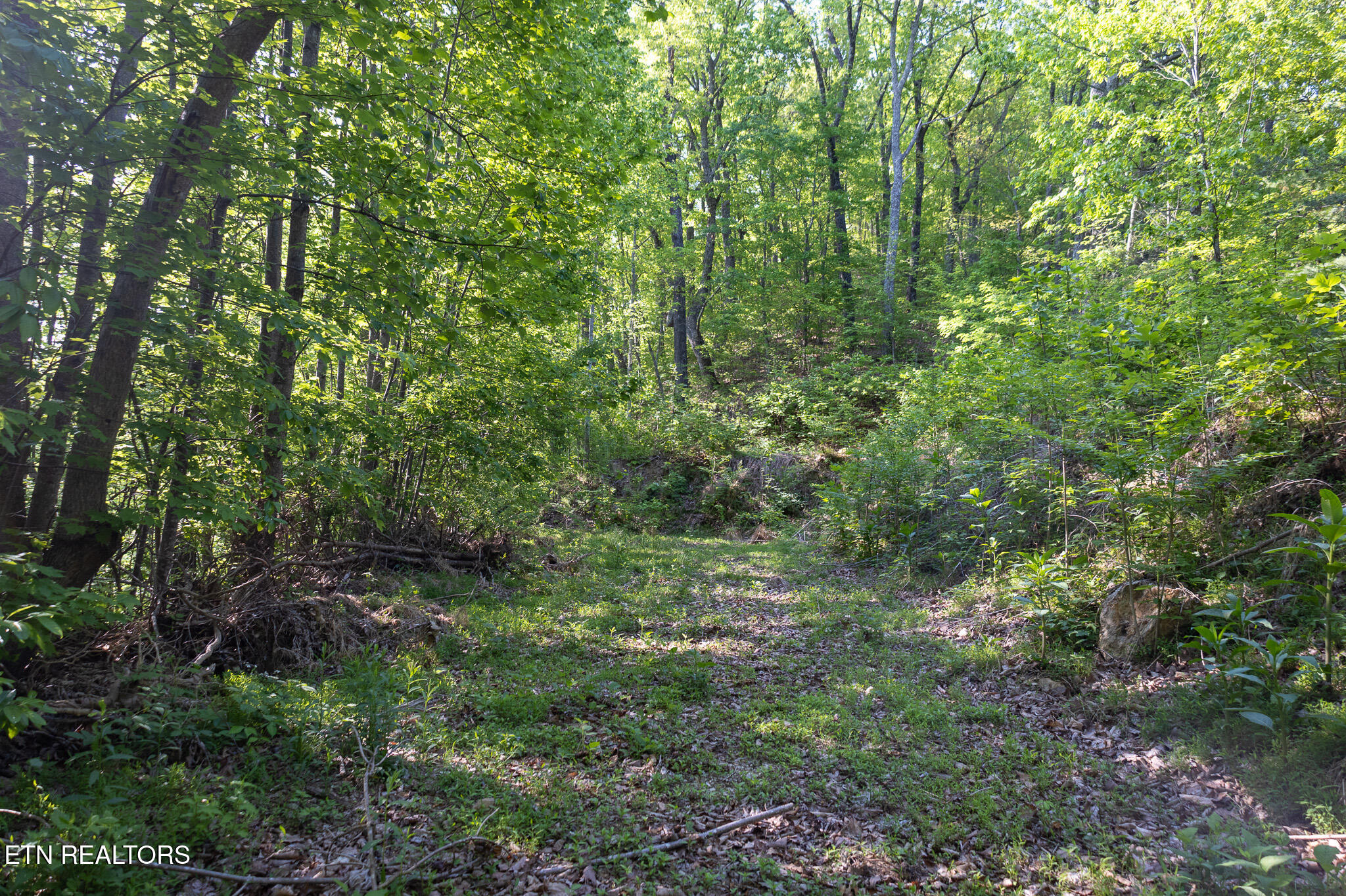 1017/1035 Big Buck Trail Townsend TN 37882