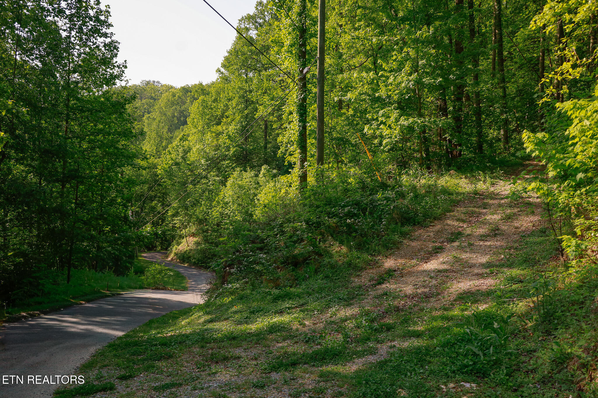 1017/1035 Big Buck Trail Townsend TN 37882