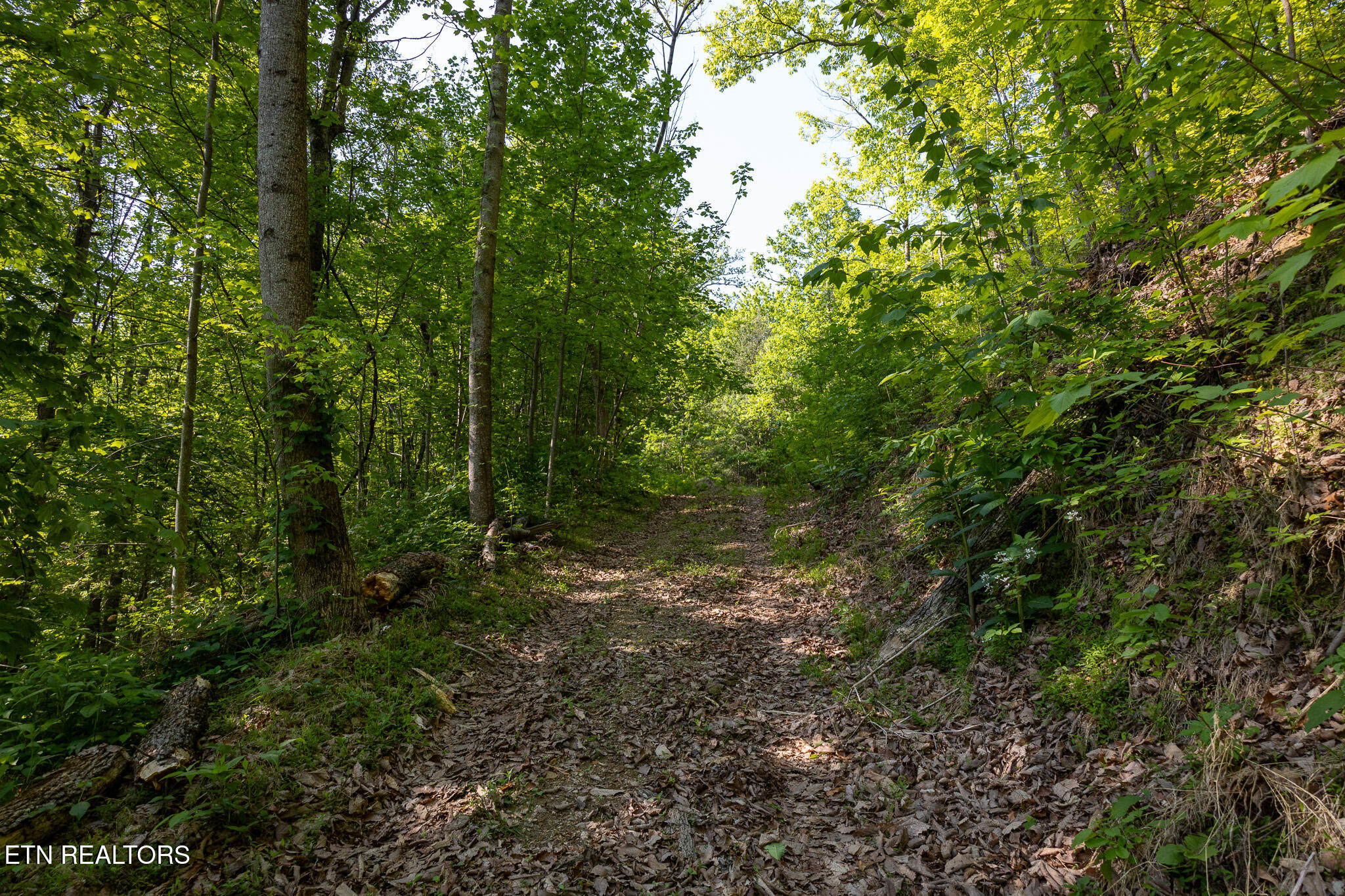1017/1035 Big Buck Trail Townsend TN 37882