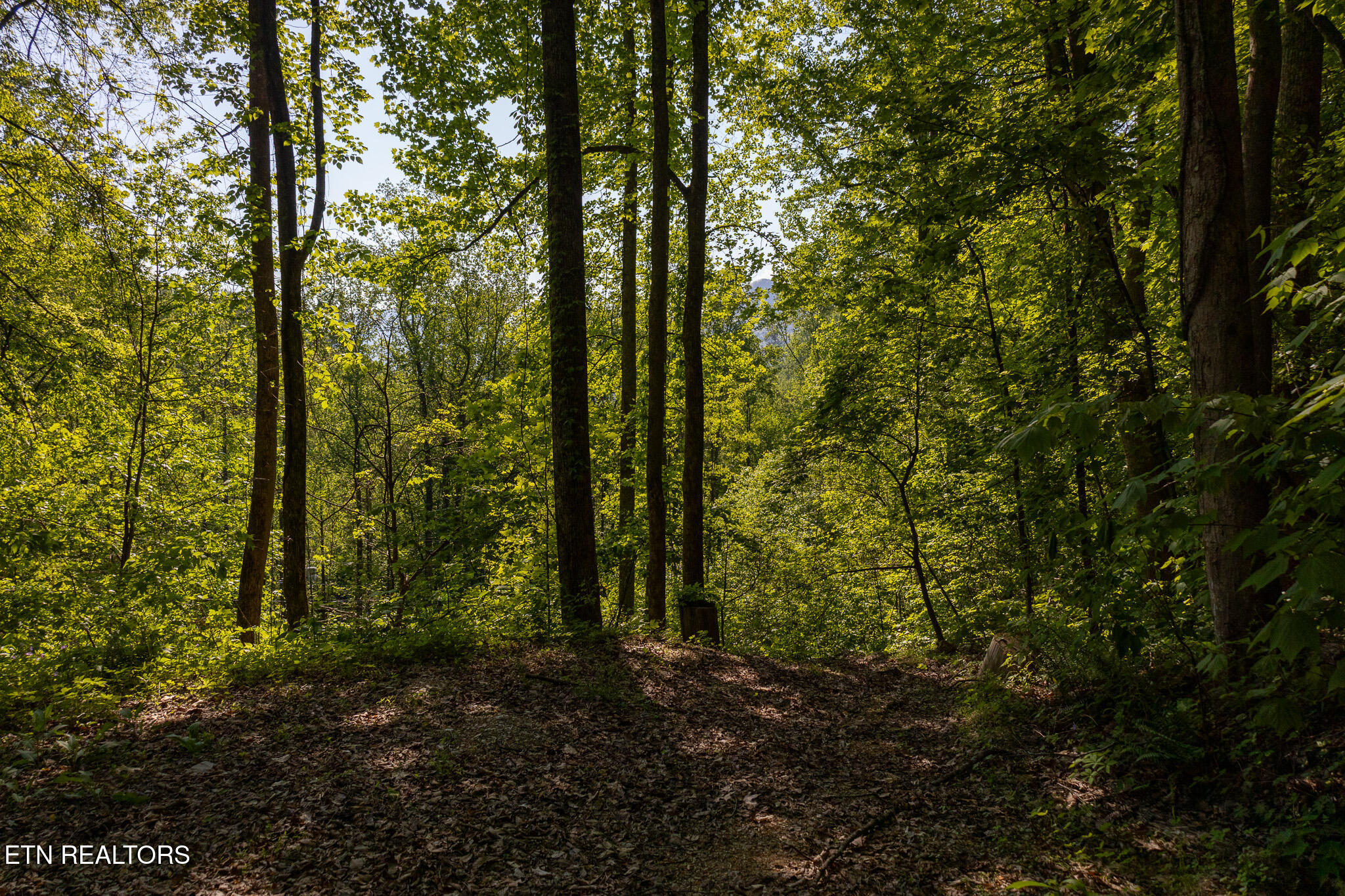 1017/1035 Big Buck Trail Townsend TN 37882