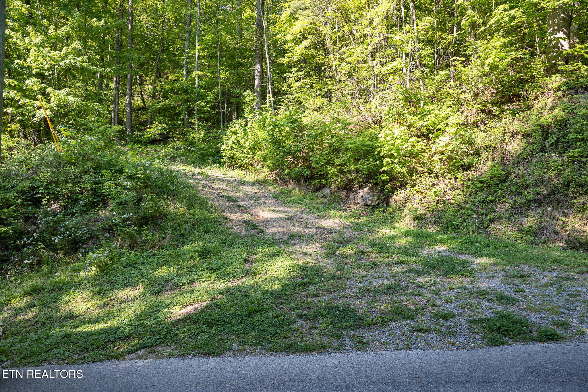 1017/1035 Big Buck Trail Townsend TN 37882