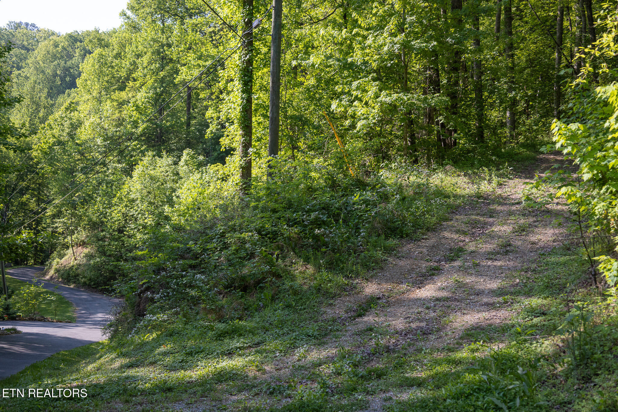 1017/1035 Big Buck Trail Townsend TN 37882