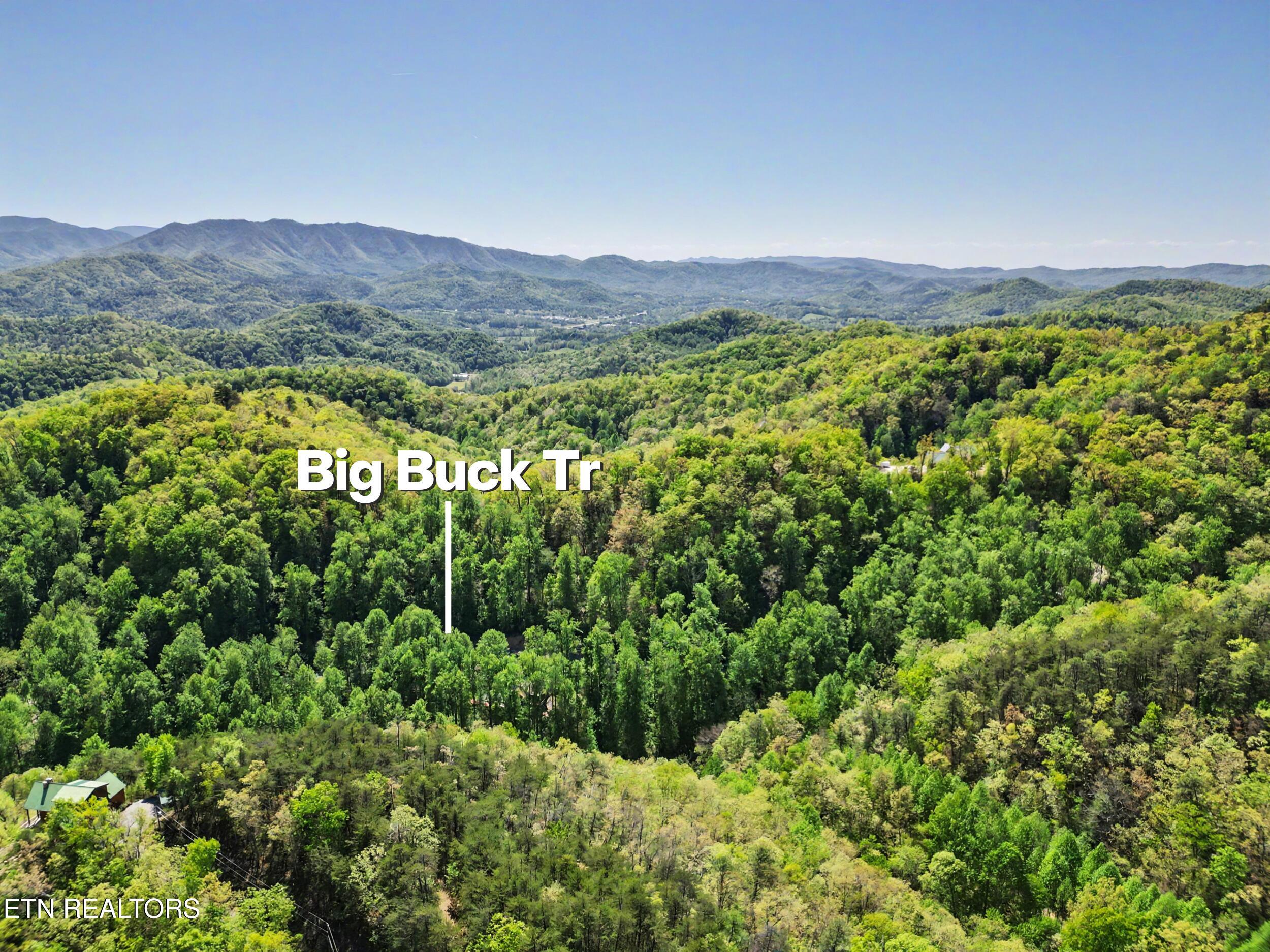 1017/1035 Big Buck Trail Townsend TN 37882
