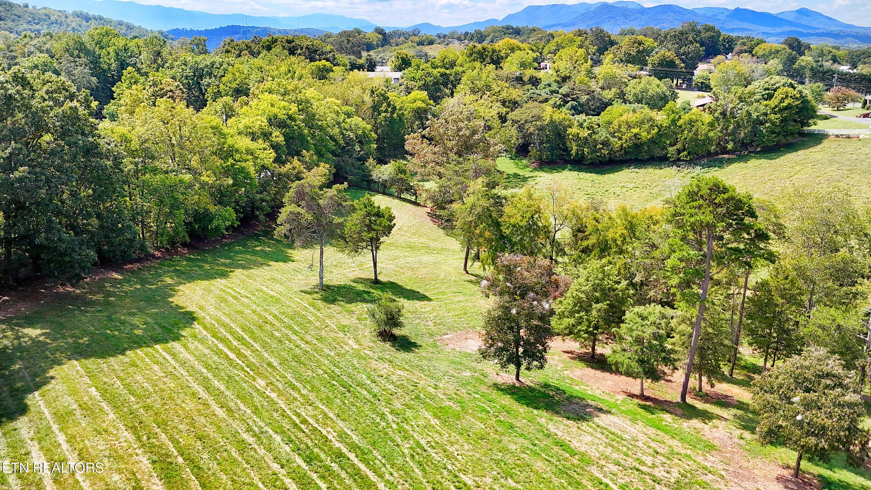 0 Alpine Road Newport TN 37821