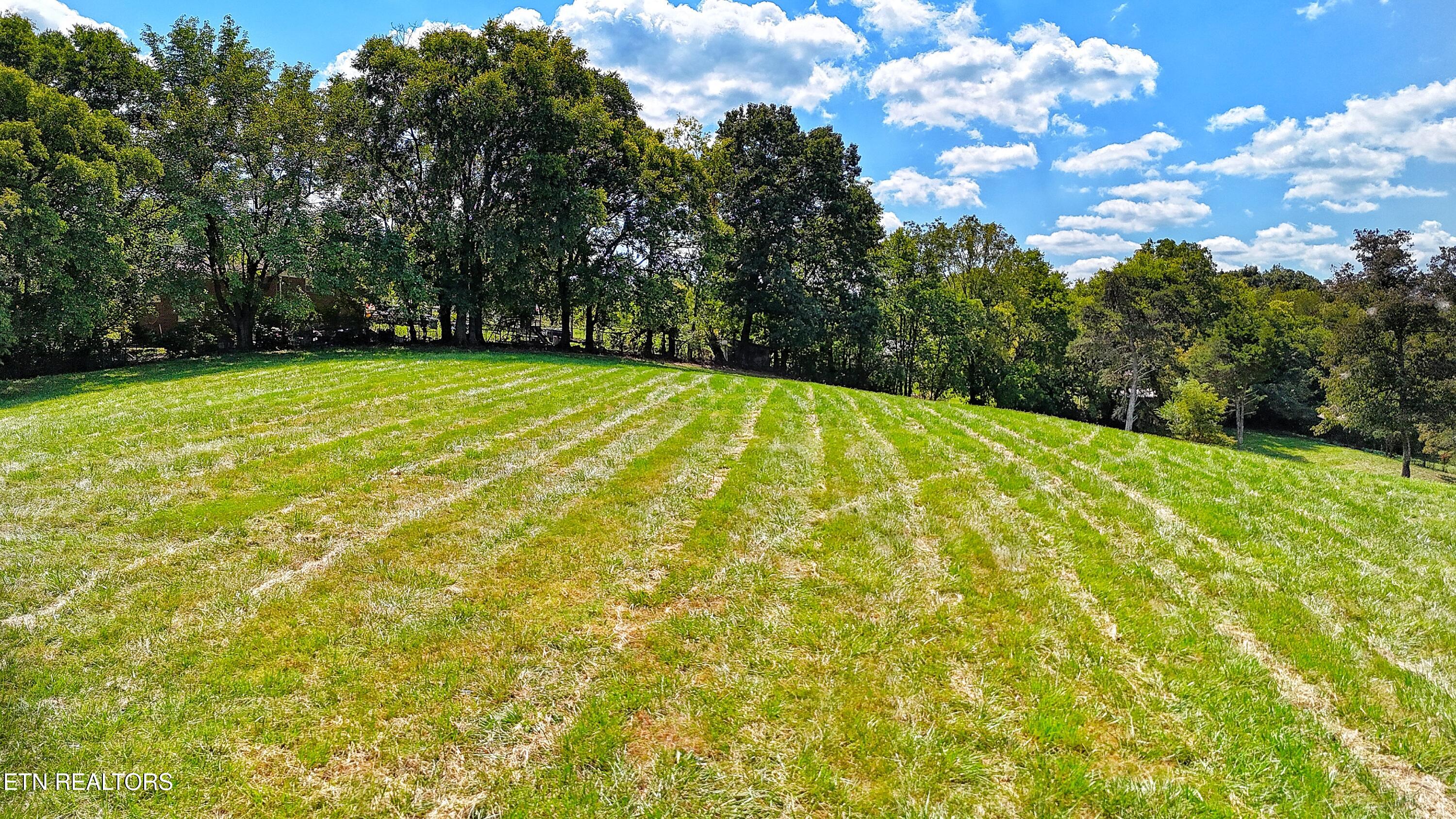 0 Alpine Road Newport TN 37821