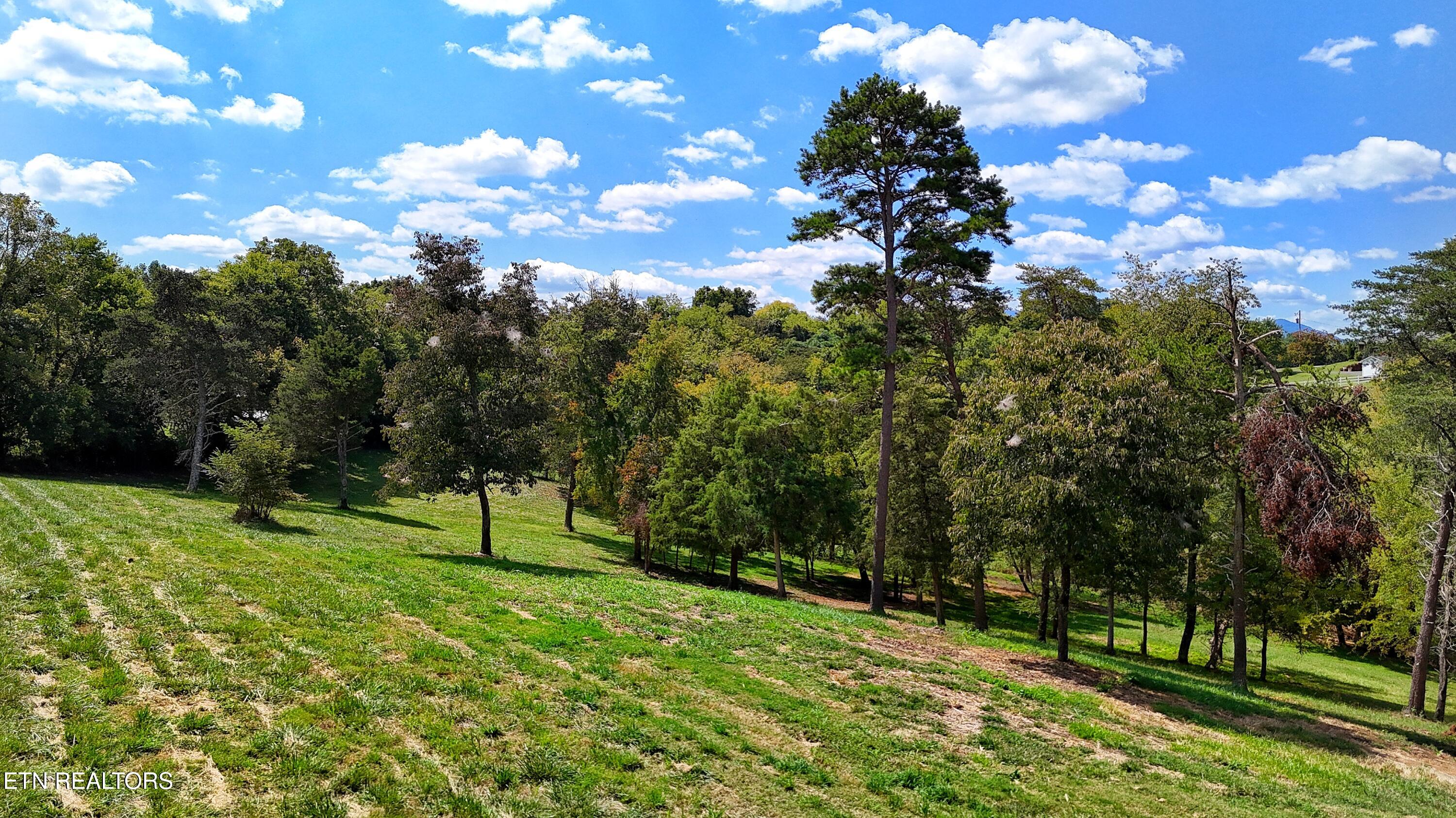 0 Alpine Road Newport TN 37821