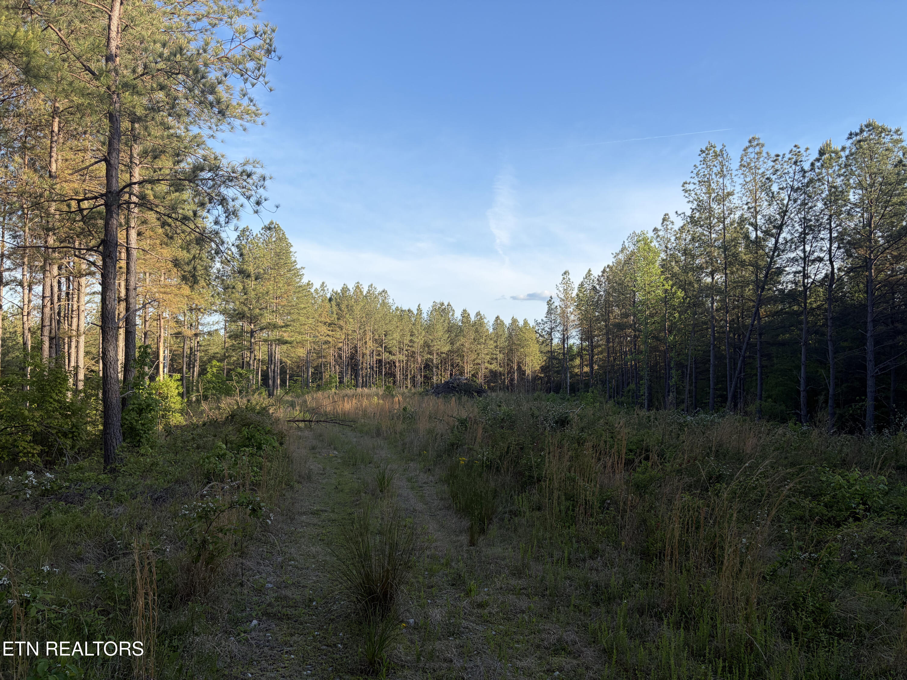 Lot 68 Black Bear Lane Sunbright TN 37872