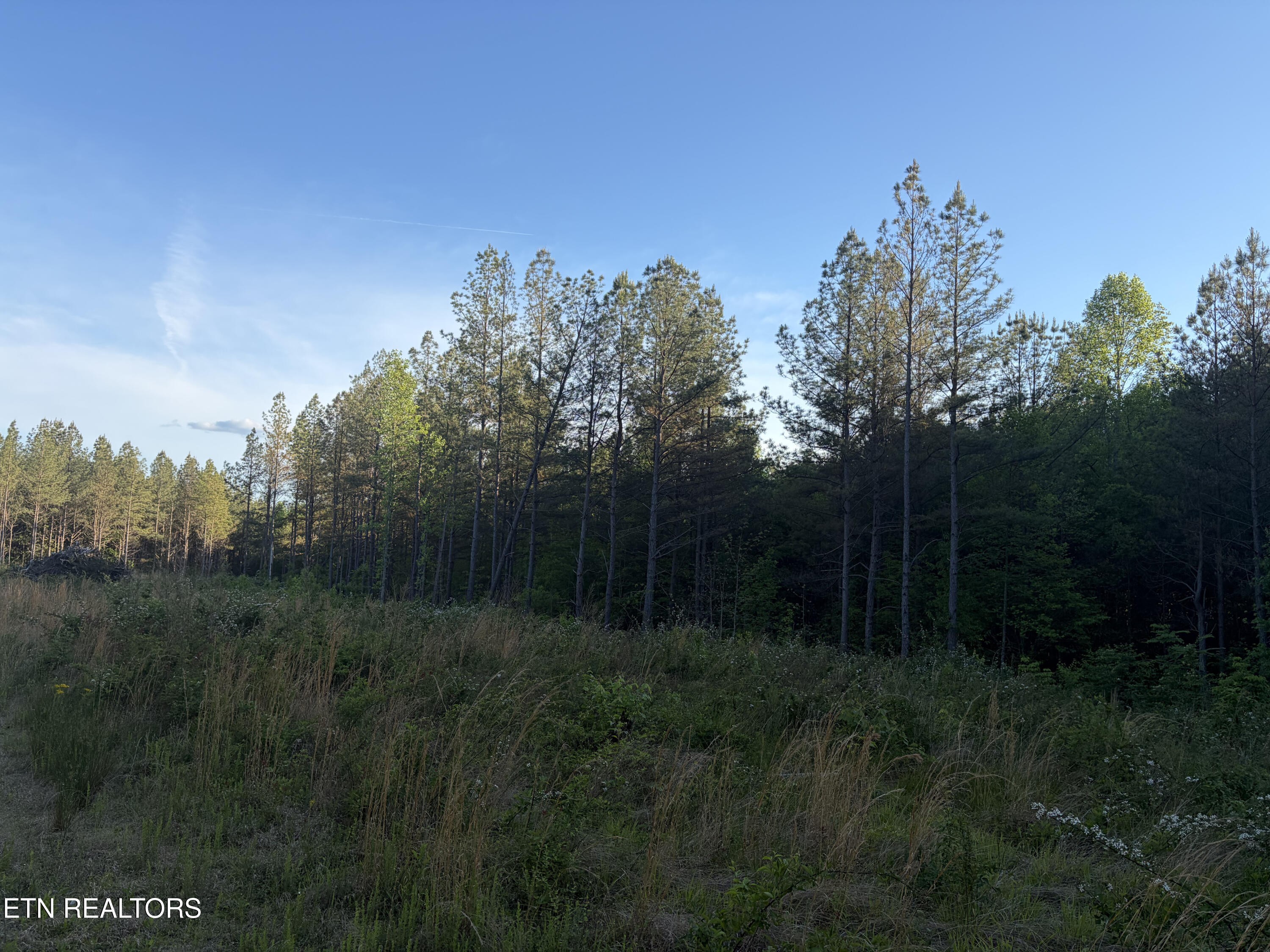 Lot 68 Black Bear Lane Sunbright TN 37872