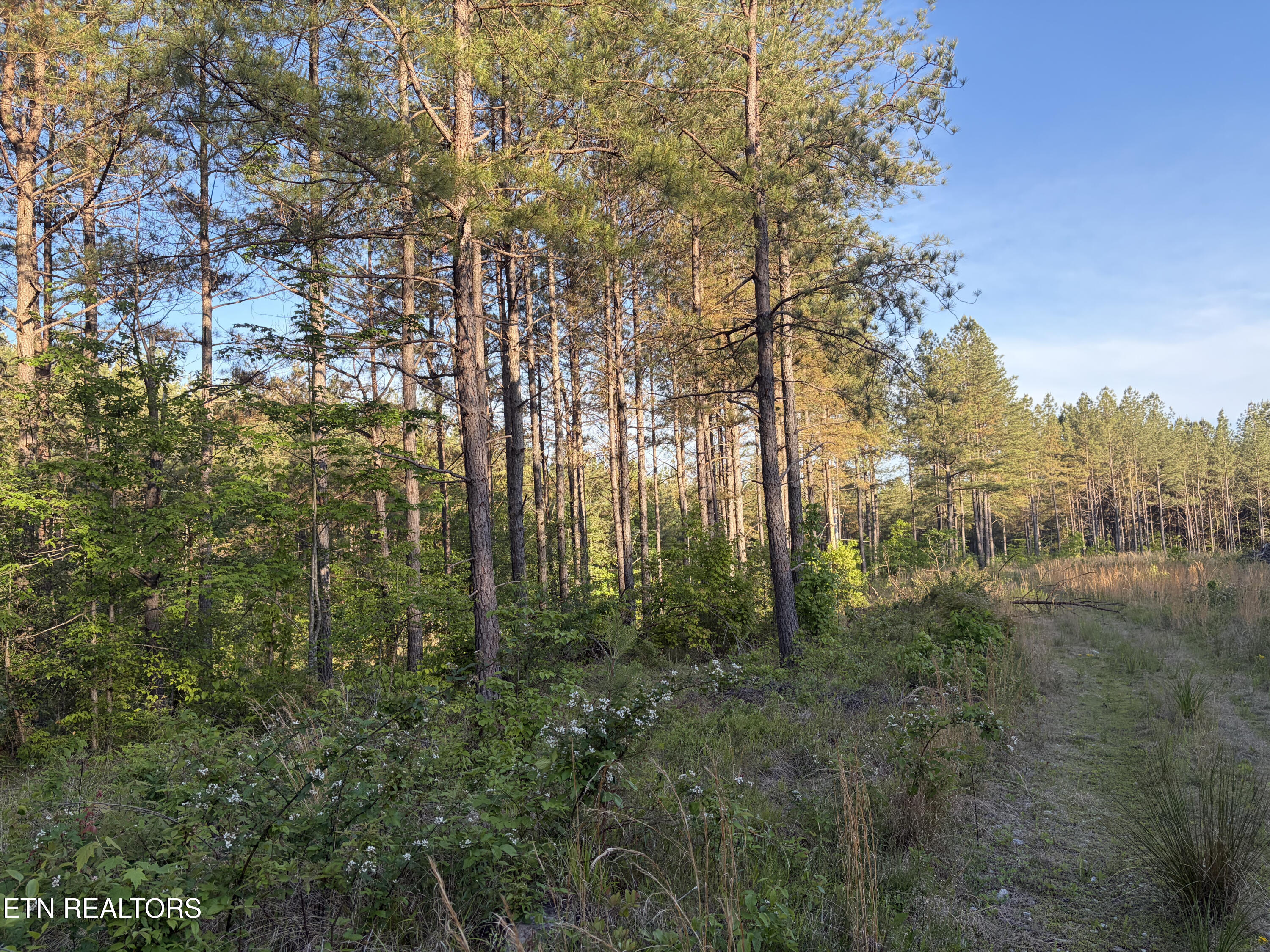Lot 68 Black Bear Lane Sunbright TN 37872