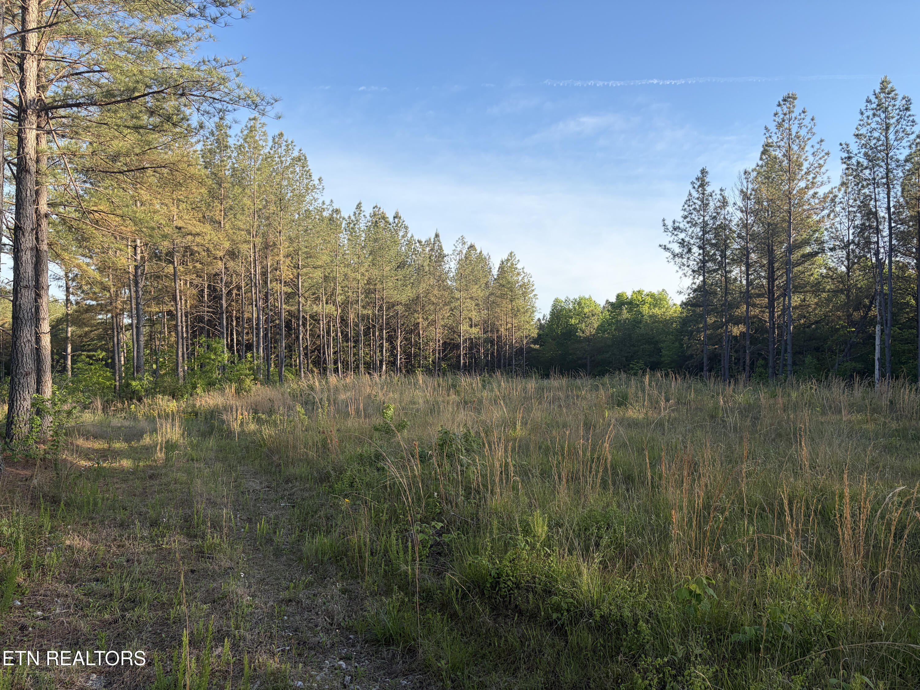 Lot 68 Black Bear Lane Sunbright TN 37872