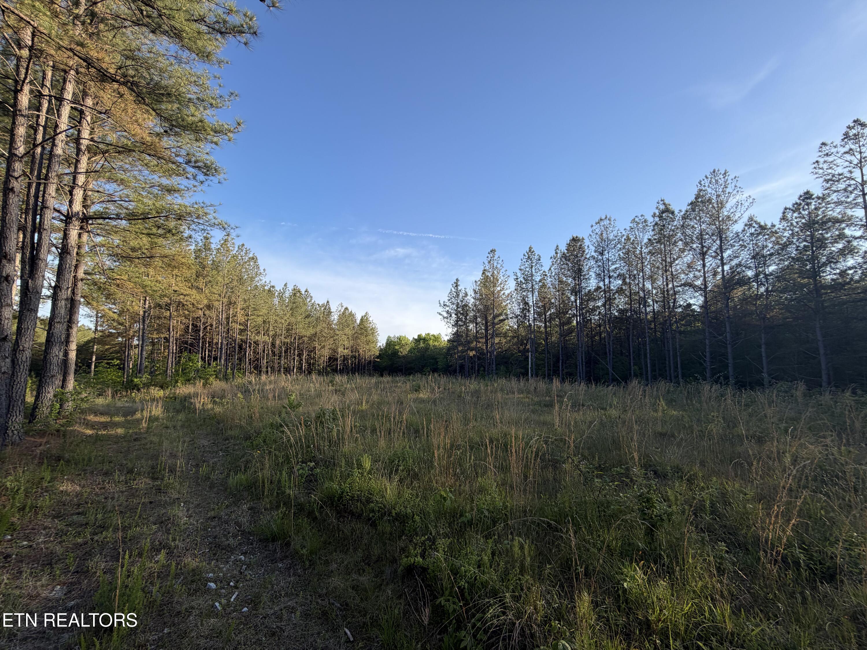 Lot 68 Black Bear Lane Sunbright TN 37872