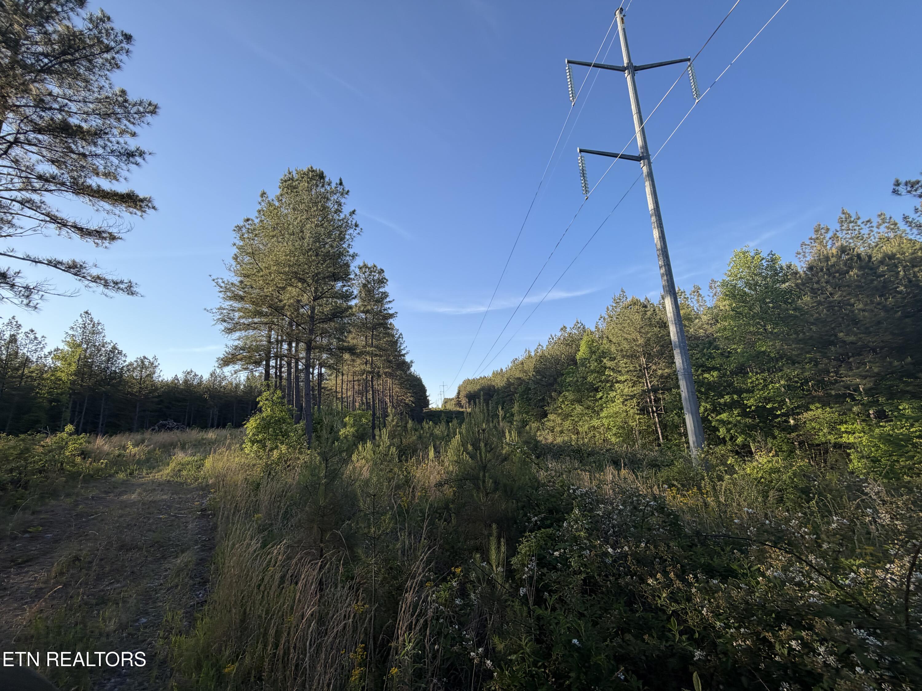 Lot 68 Black Bear Lane Sunbright TN 37872